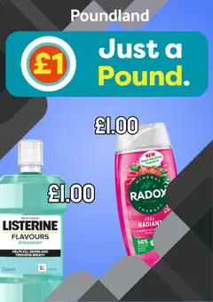 Poundland - Offers valid from 14/04/2026