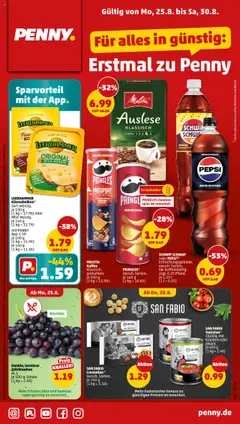 Vorschau Penny Prospekt 	 gültig ab 25.08.2025