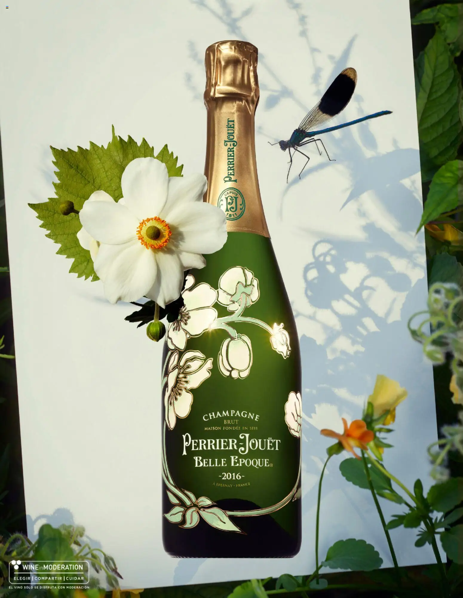 El Corte Inglés ofertas - Página de 142 - Válido desde 19/11/2025