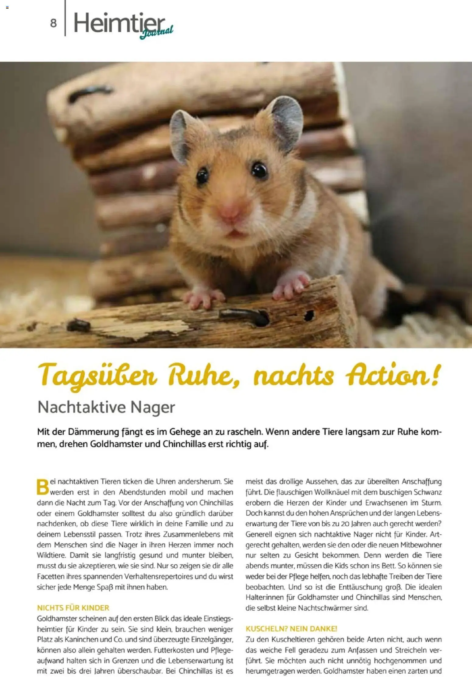 zookauf  Heimtier Journal - Seite 8 - gültig ab 01.02.2026