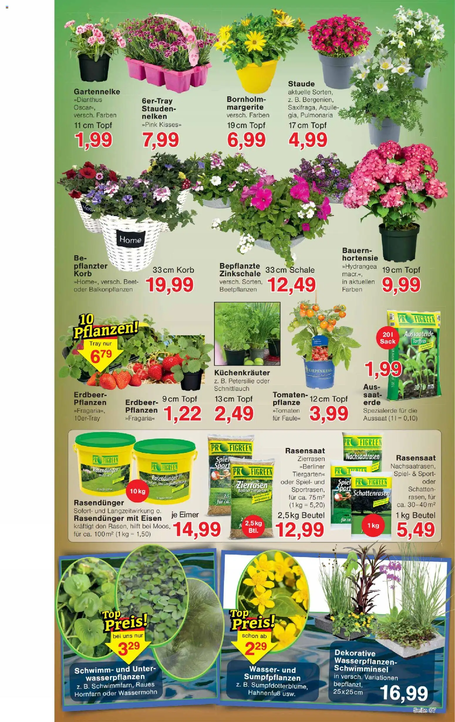 Wiglo Wunderland Prospekt 	 - Seite 11 - gültig ab 20.04.2026