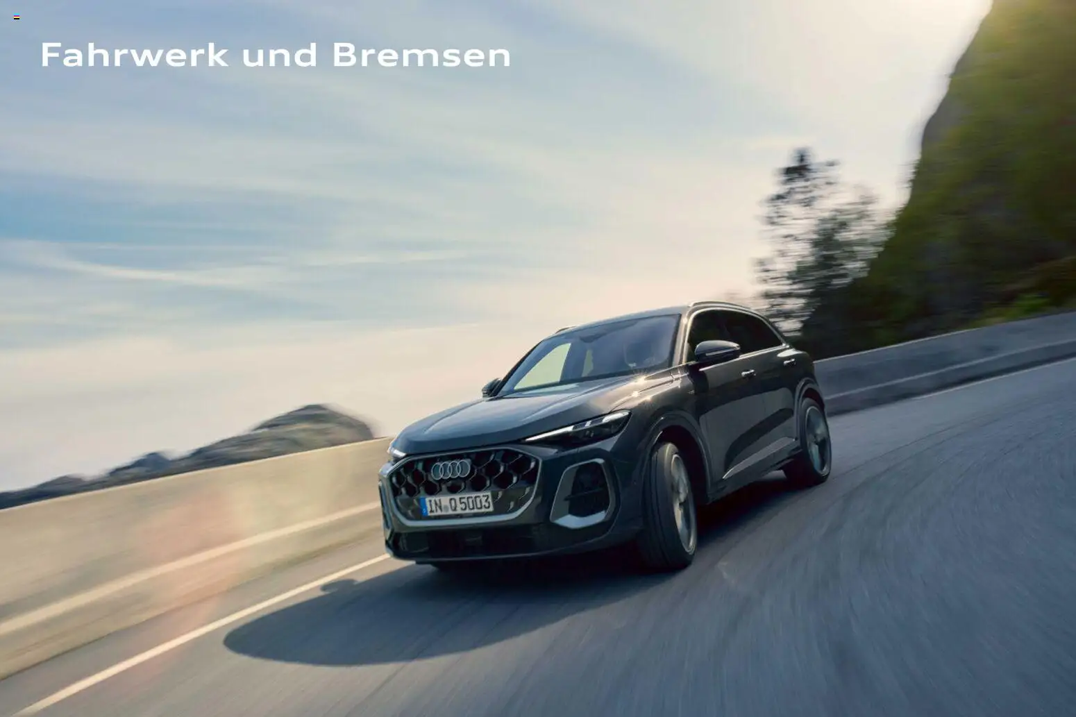 Audi Q5 - Seite 134 - gültig ab 28.10.2025