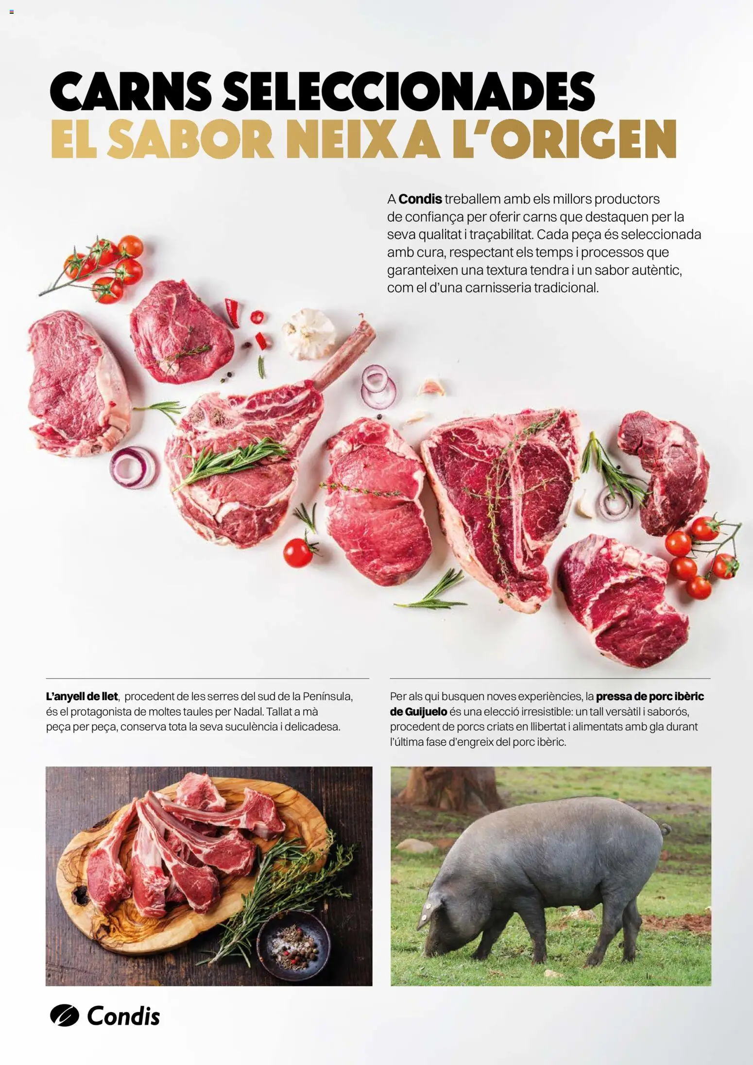 Condis folleto life - Página de 18 - Válido desde 03/12/2025
