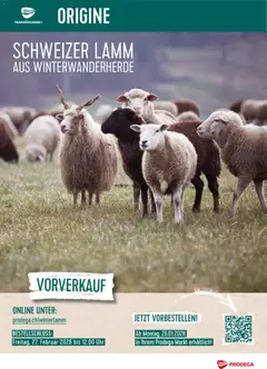 Vorschau Prodega Aktionen Schweizer Lamm gültig ab 26.01.2026