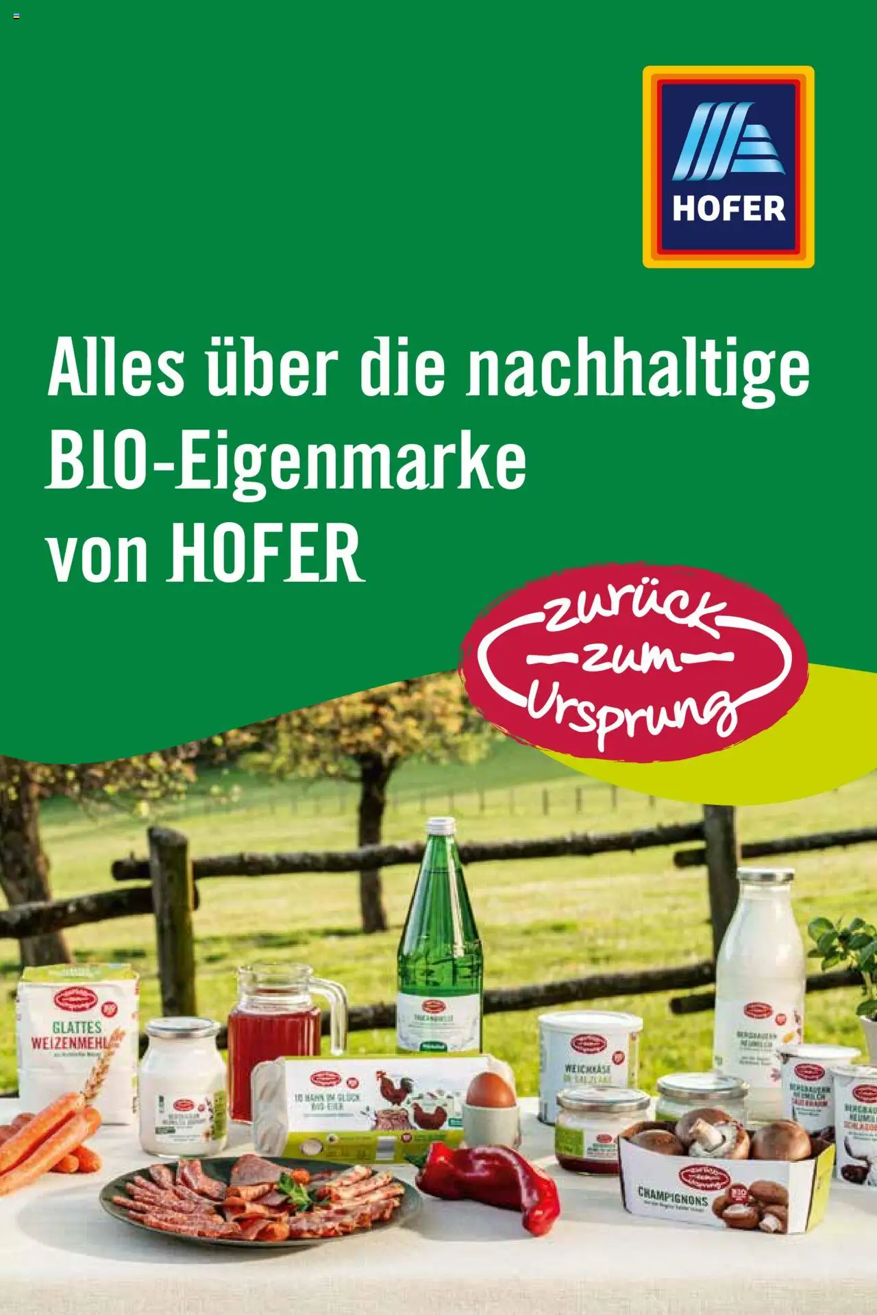 Hofer AT Zurück zum Ursprung-Fibel - 1oldal - érvényes 2025.07.23.-tól