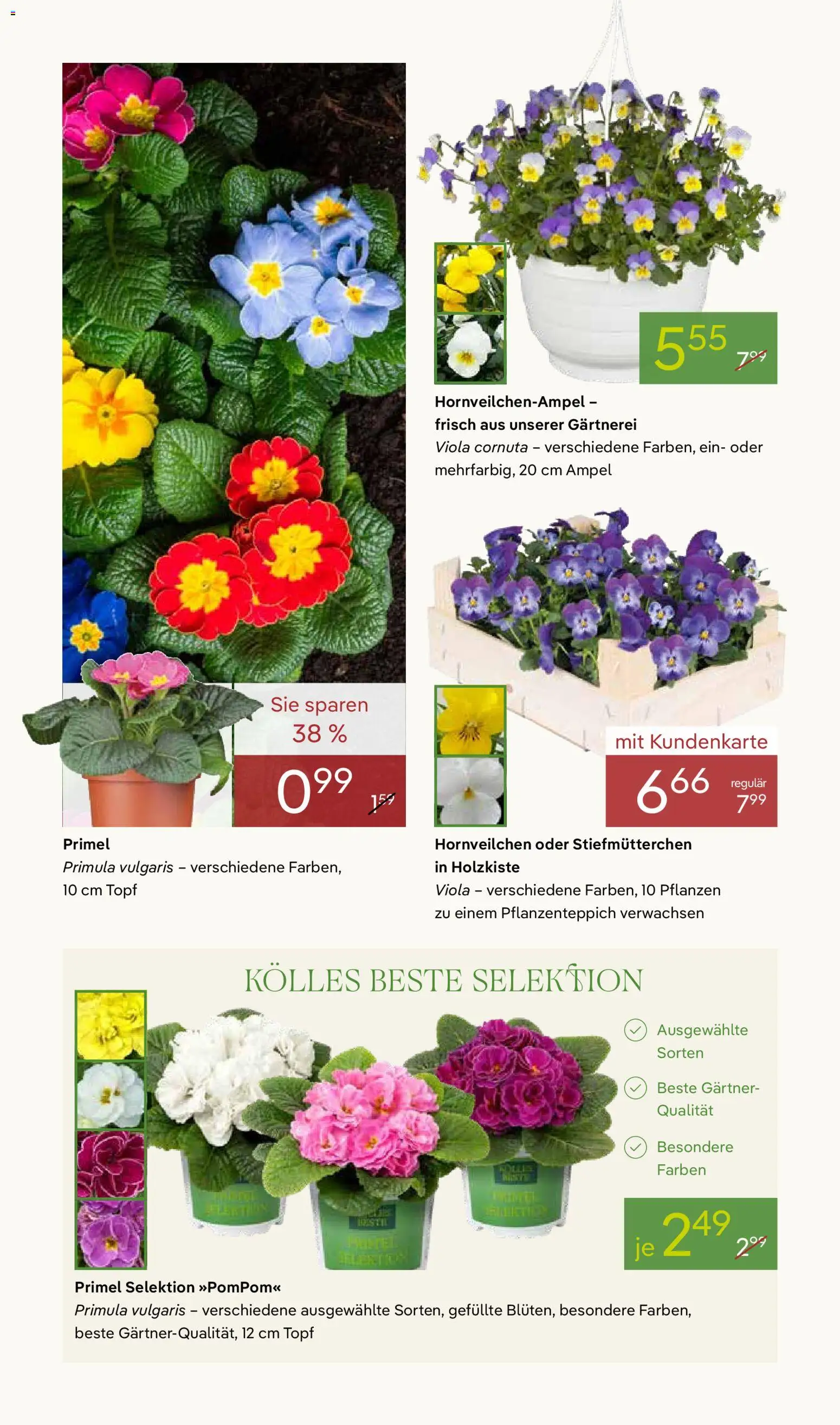 Pflanzen-Kölle Prospekt 	 - Seite 4 - gültig ab 02.03.2026