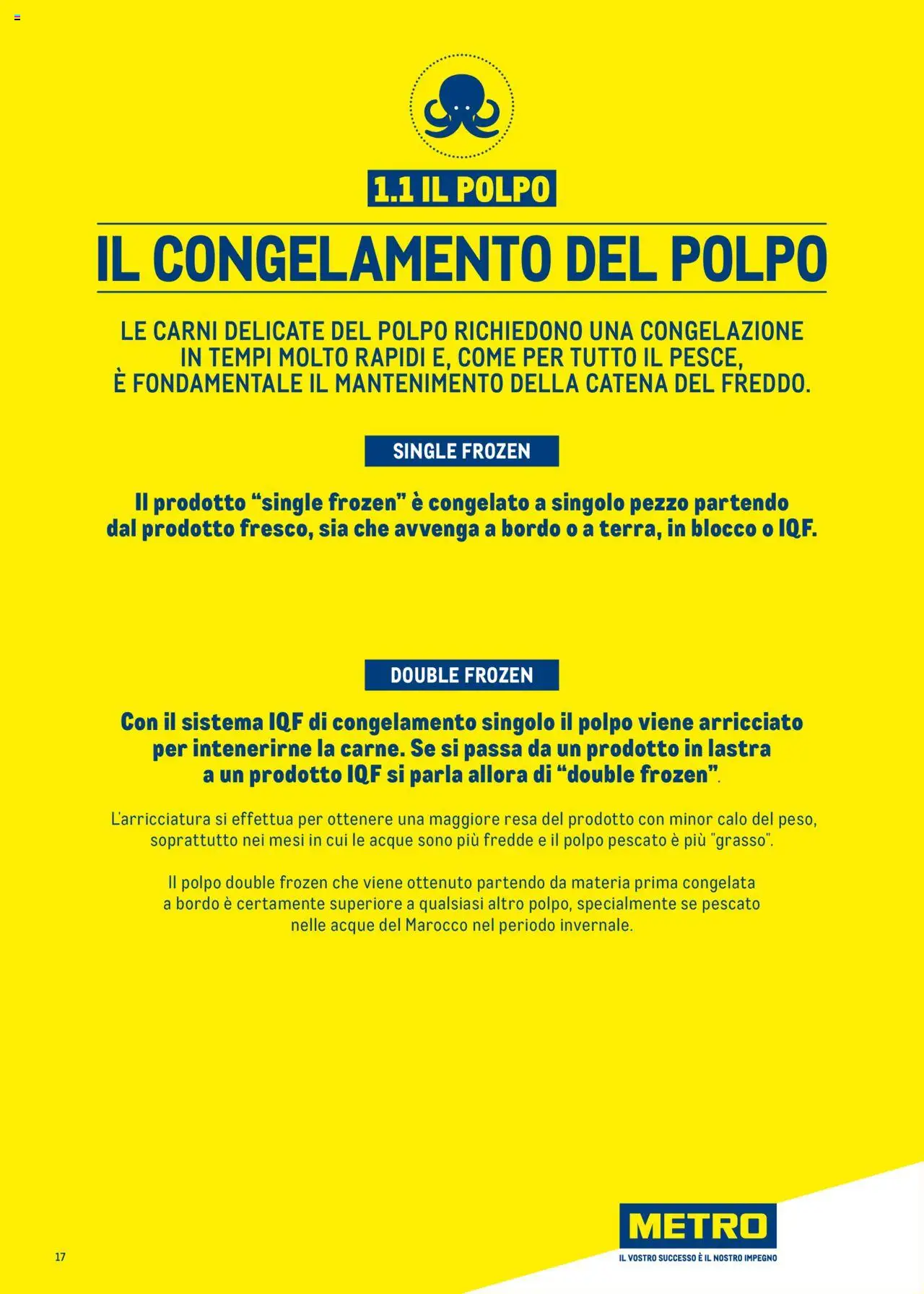 Metro Surgelati 2025 catalogo - pagina 17 - valido dal 30/06/2025