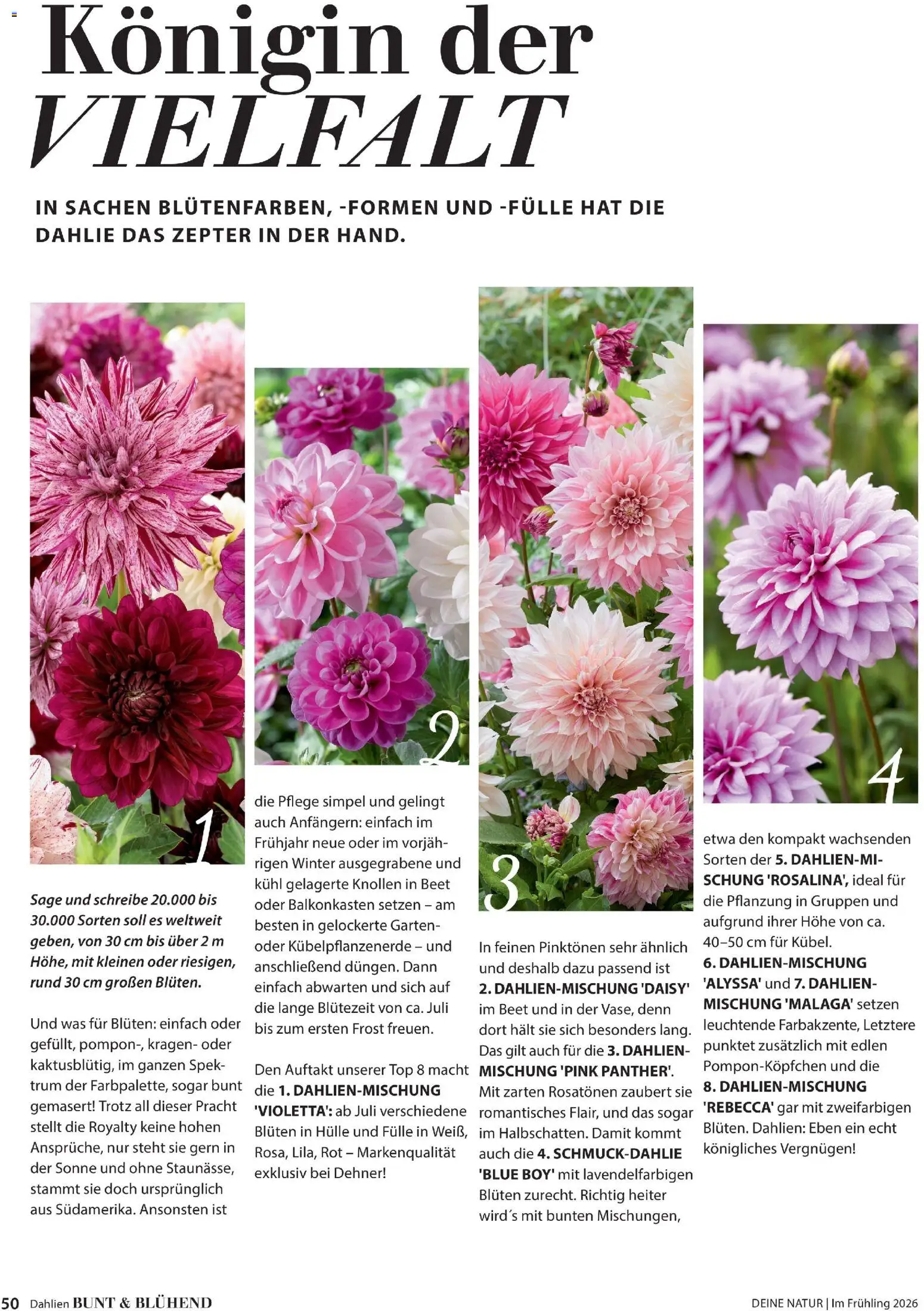 Dehner Flugblatt - page 50- valid from 05.03.2026