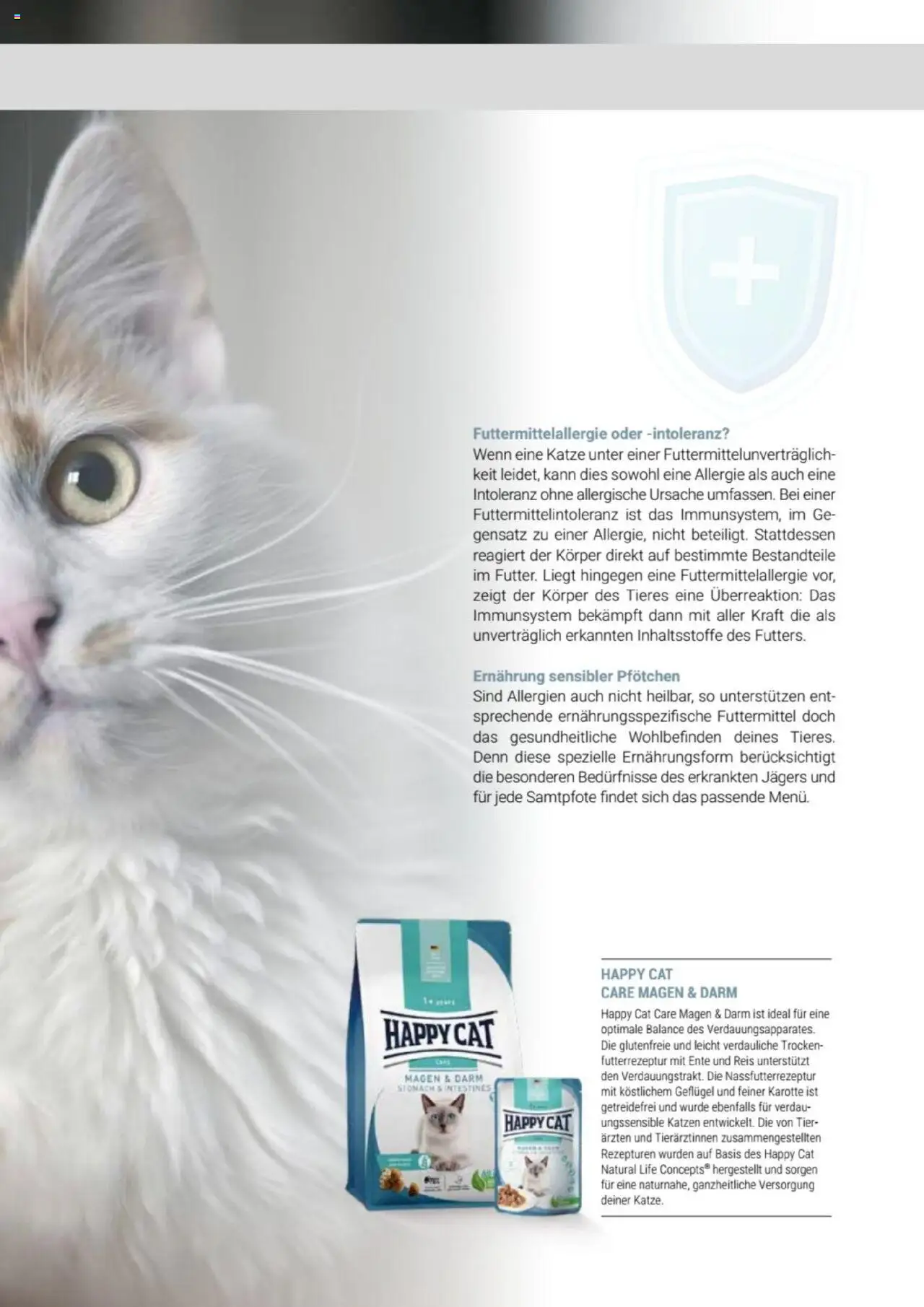 zookauf Themenkatalog Katze - Seite 25 - gültig ab 01.10.2025