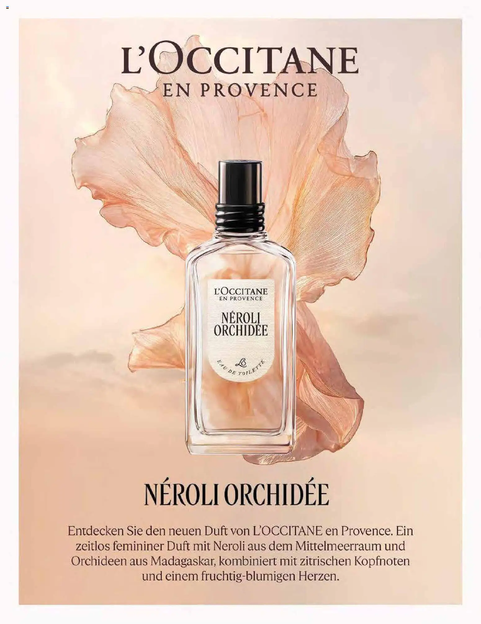 Müller Lifestyle - Seite 15 - gültig ab 14.11.2025