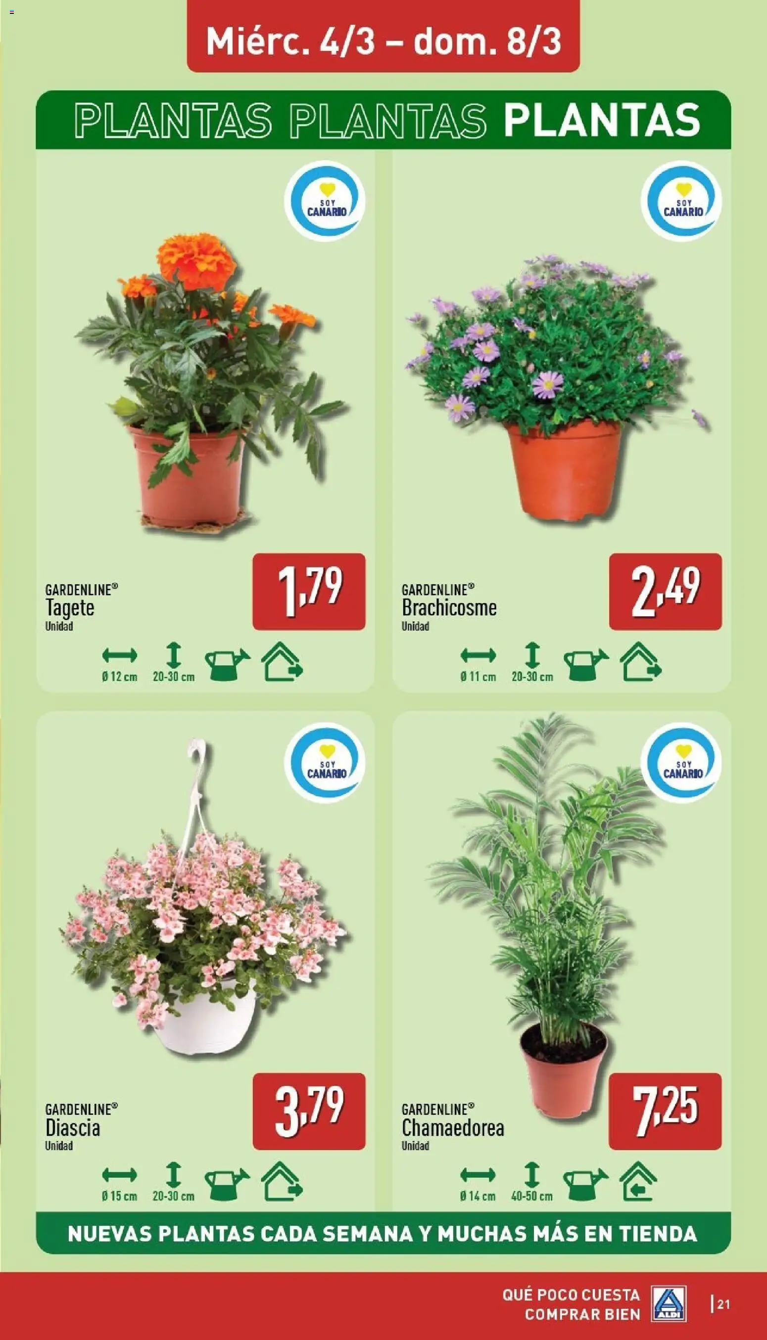 Aldi folleto Canarias - Página de 21 - Válido desde 02/03/2026