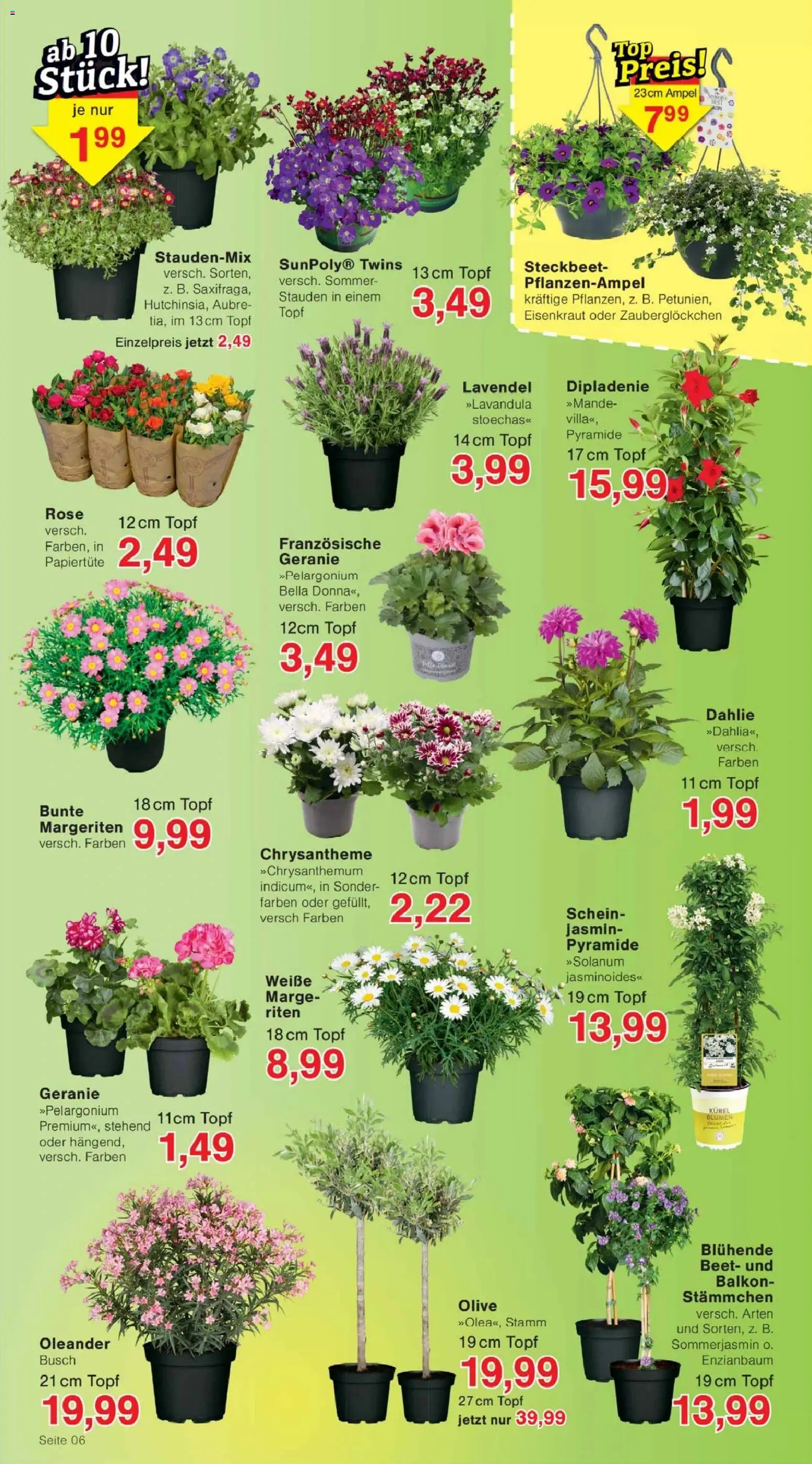 Jawoll Prospekt - Seite 6 - gültig ab 13.04.2026