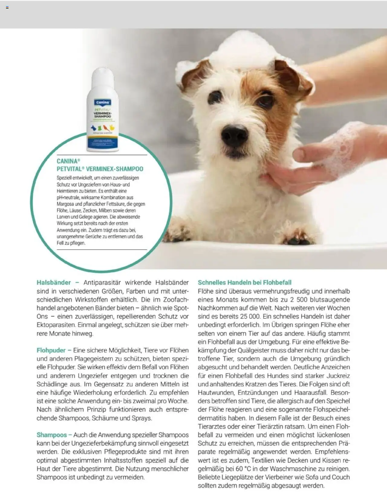 zookauf  Themenkatalog Hund - Seite 49 - gültig ab 20.05.2025