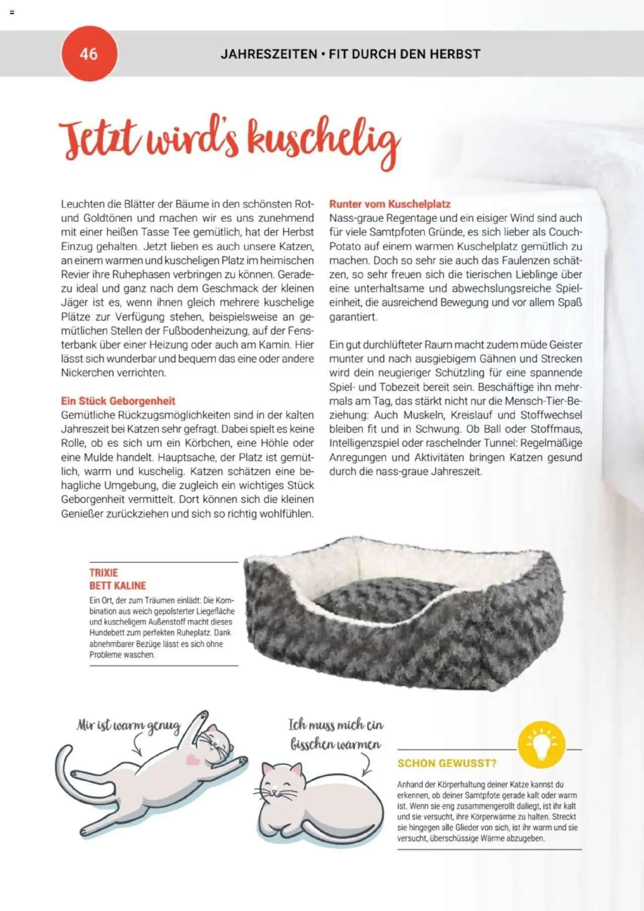 zookauf Themenkatalog Katze - Seite 46 - gültig ab 01.10.2025