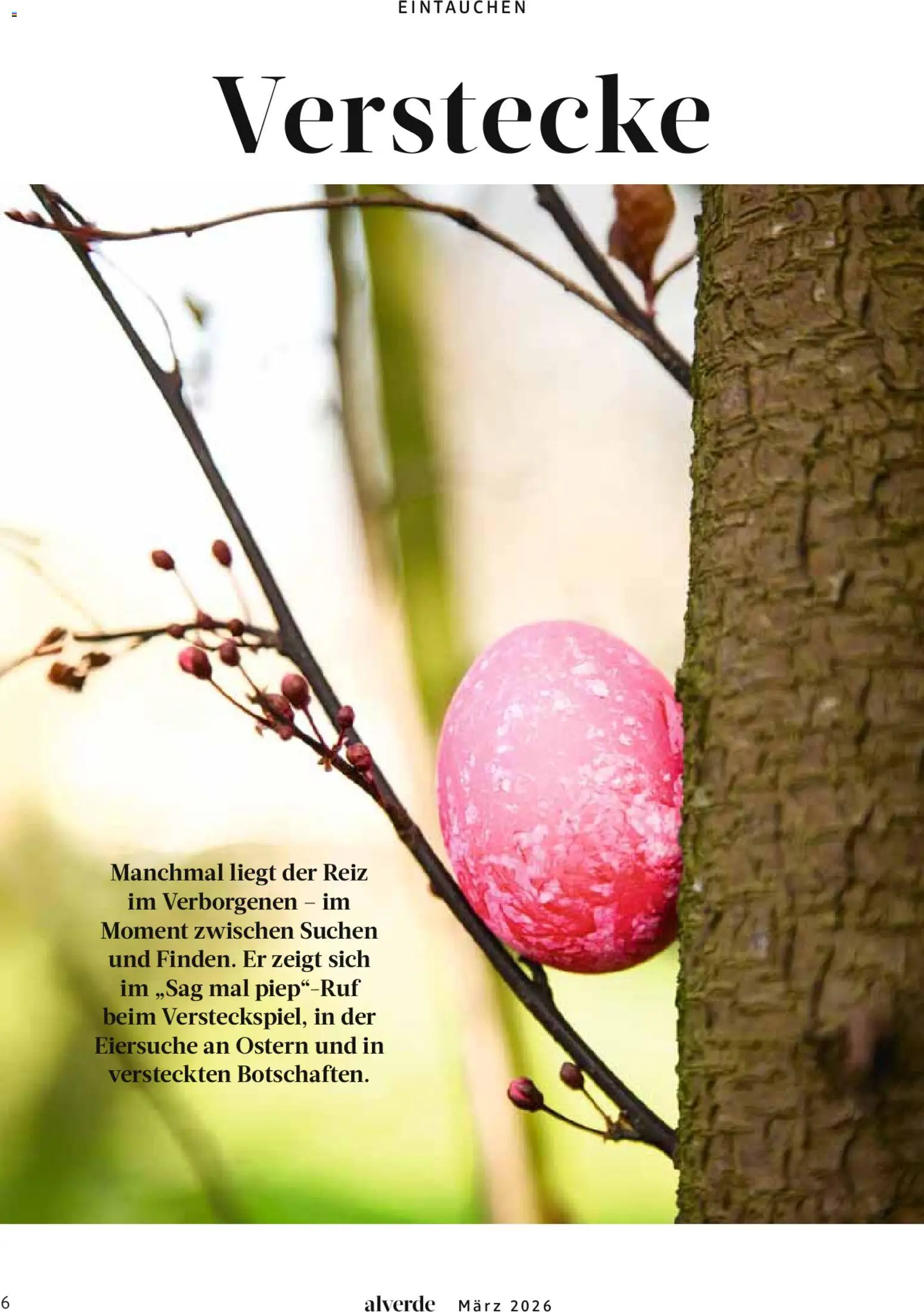 dm drogerie Prospekt 	 - Seite 6 - gültig ab 01.03.2026