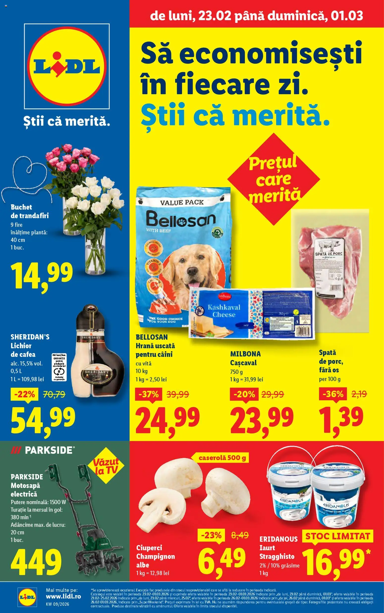 Catalog Lidl - pagina 1- valabil de la 23.02.2026