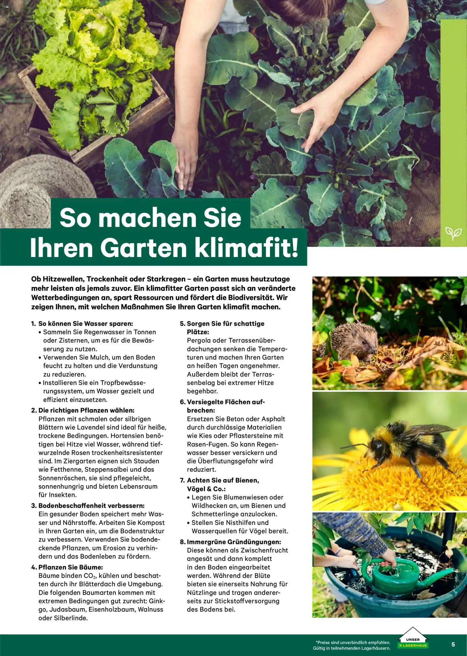 Lagerhaus  Garten und Freizeit Katalog 2026 - page 5- valid from 22.02.2026