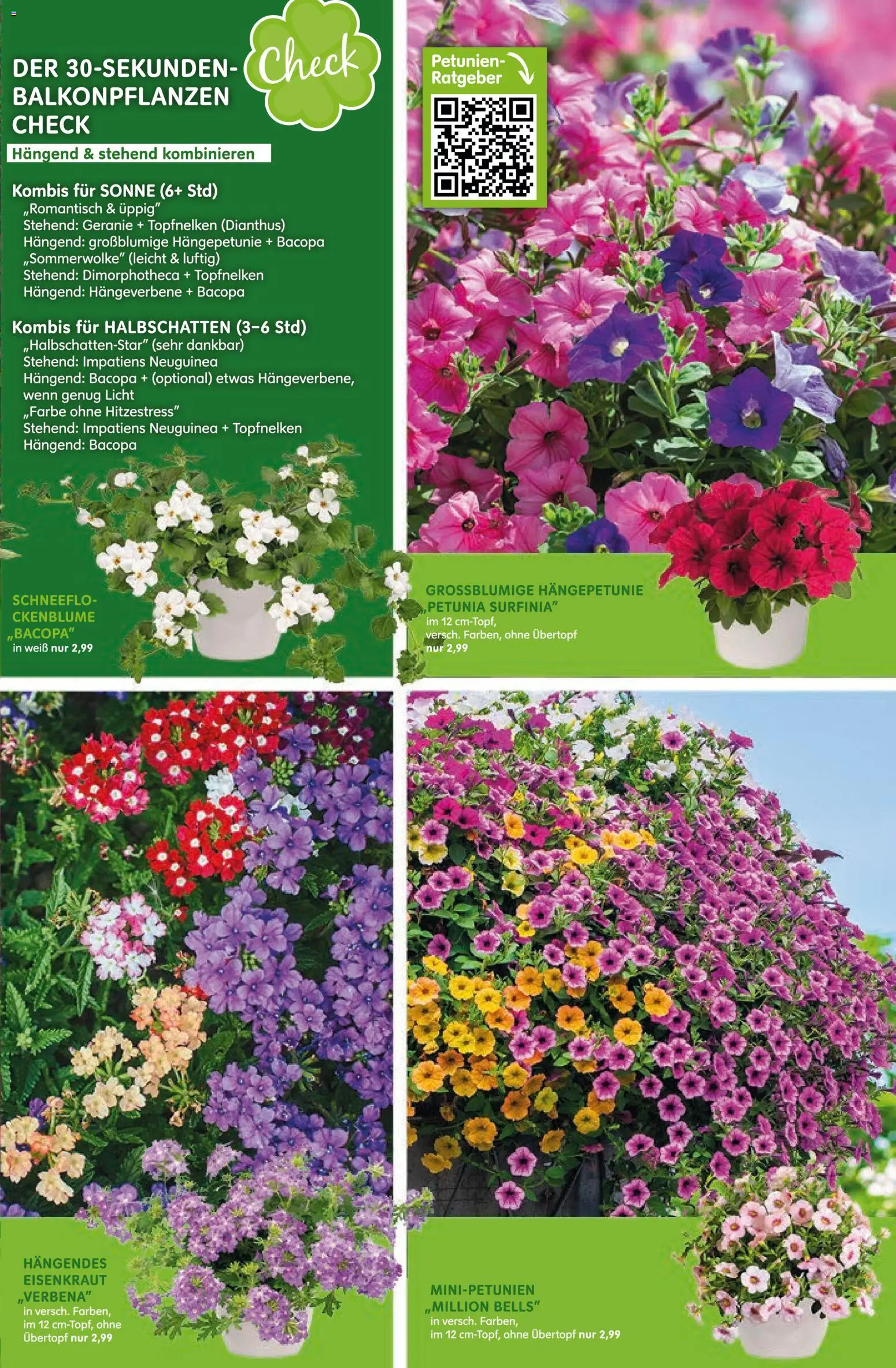 Blumen Risse Prospekt 	 - Seite 5 - gültig ab 16.04.2026