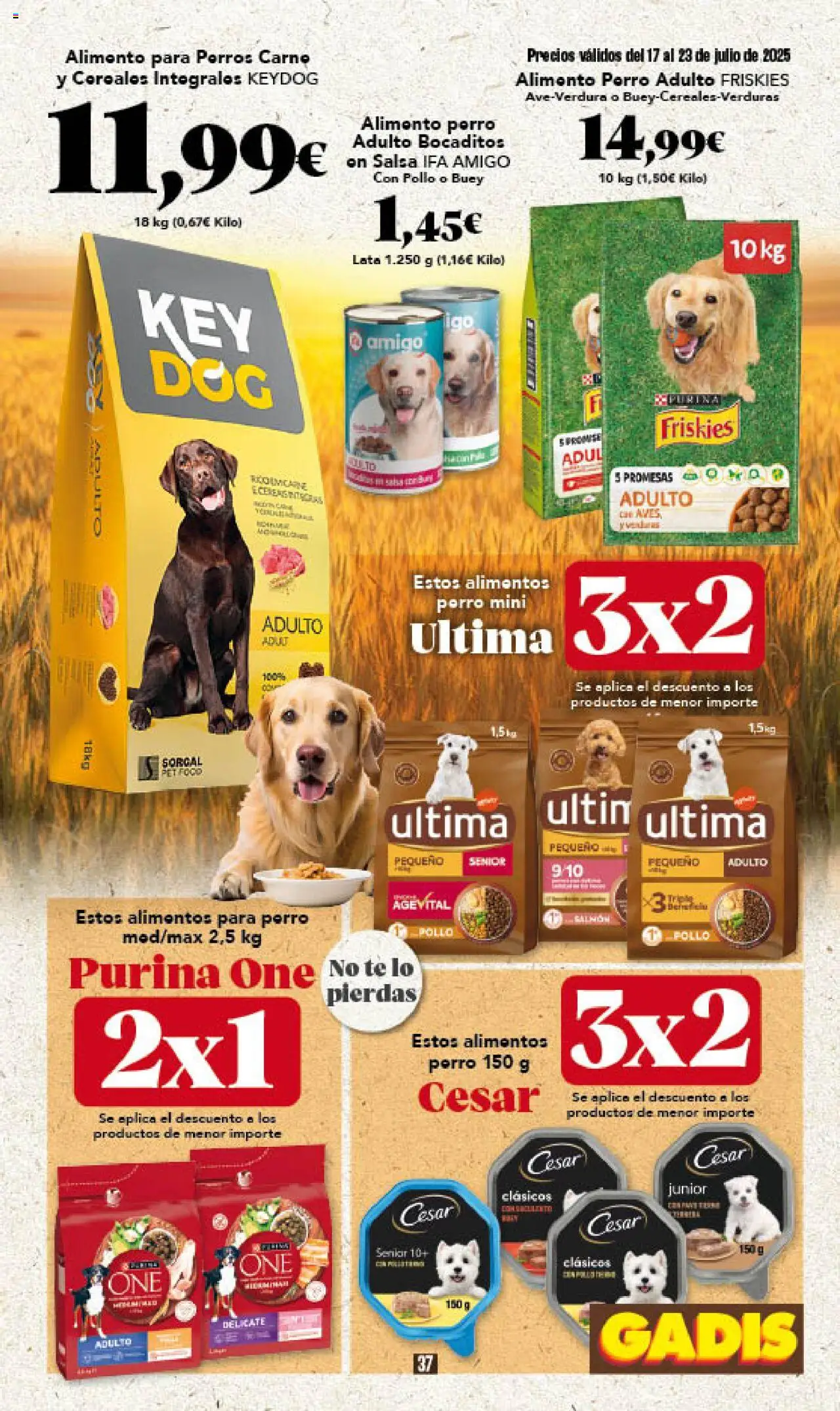 Gadis folleto - Página de 37 - Válido desde 17/07/2025