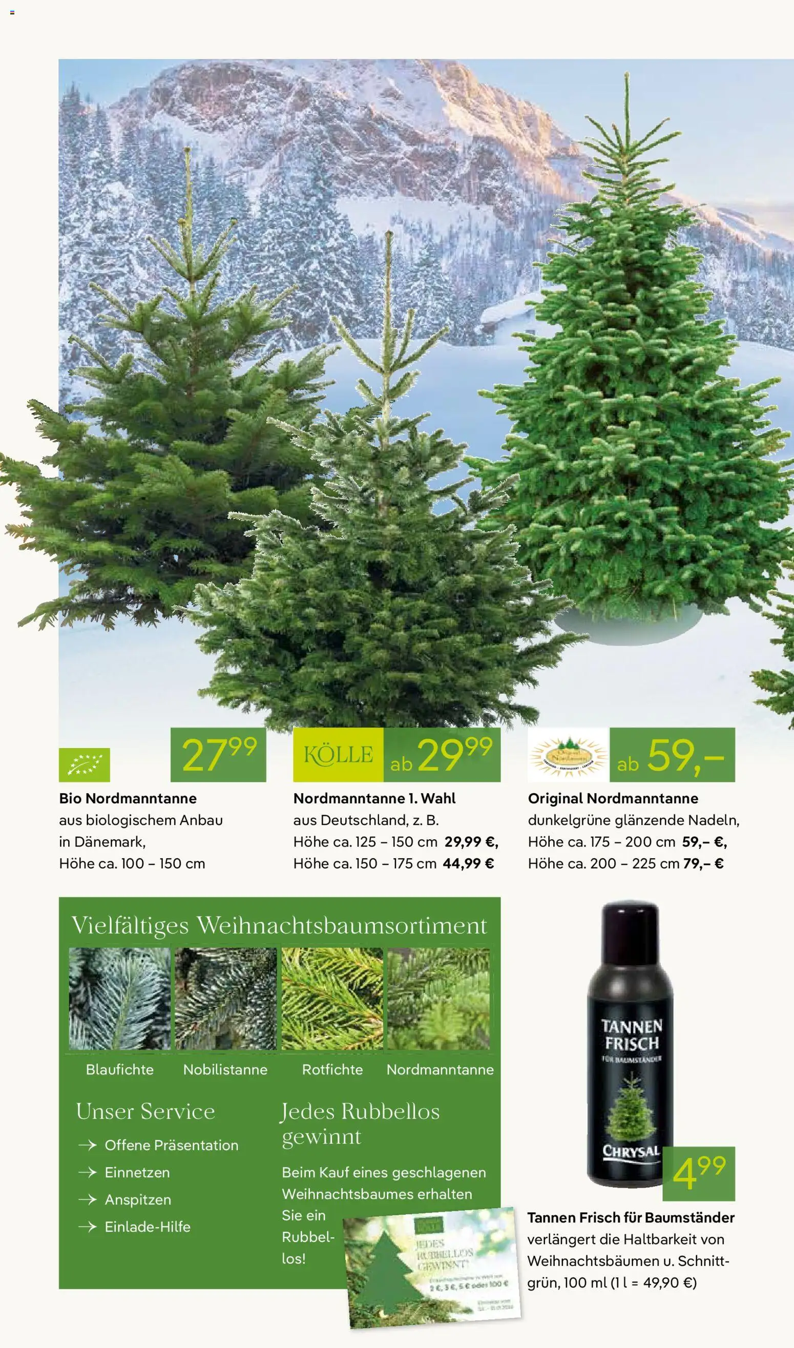 Pflanzen-Kölle Prospekt 	 - Seite 2 - gültig ab 01.12.2025