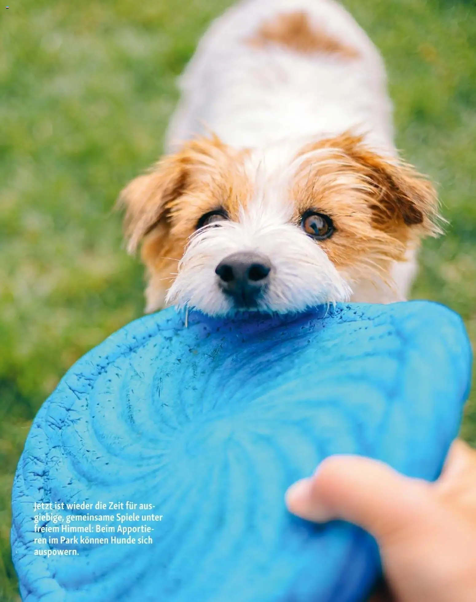 Fressnapf Friends 02/26 - page 15- valid from 01.03.2026