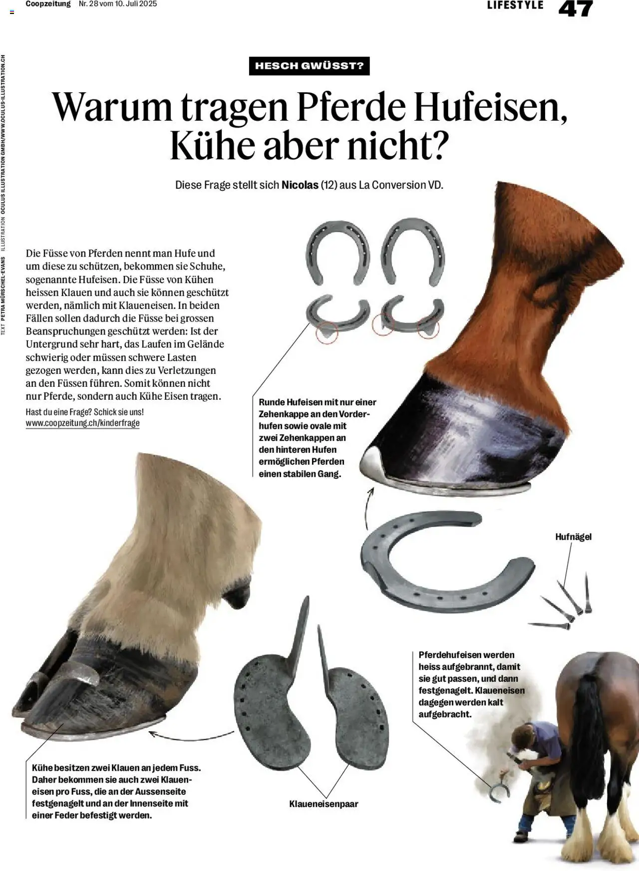 Coop Magazin - Seite 47- gültig ab 10.07.2025