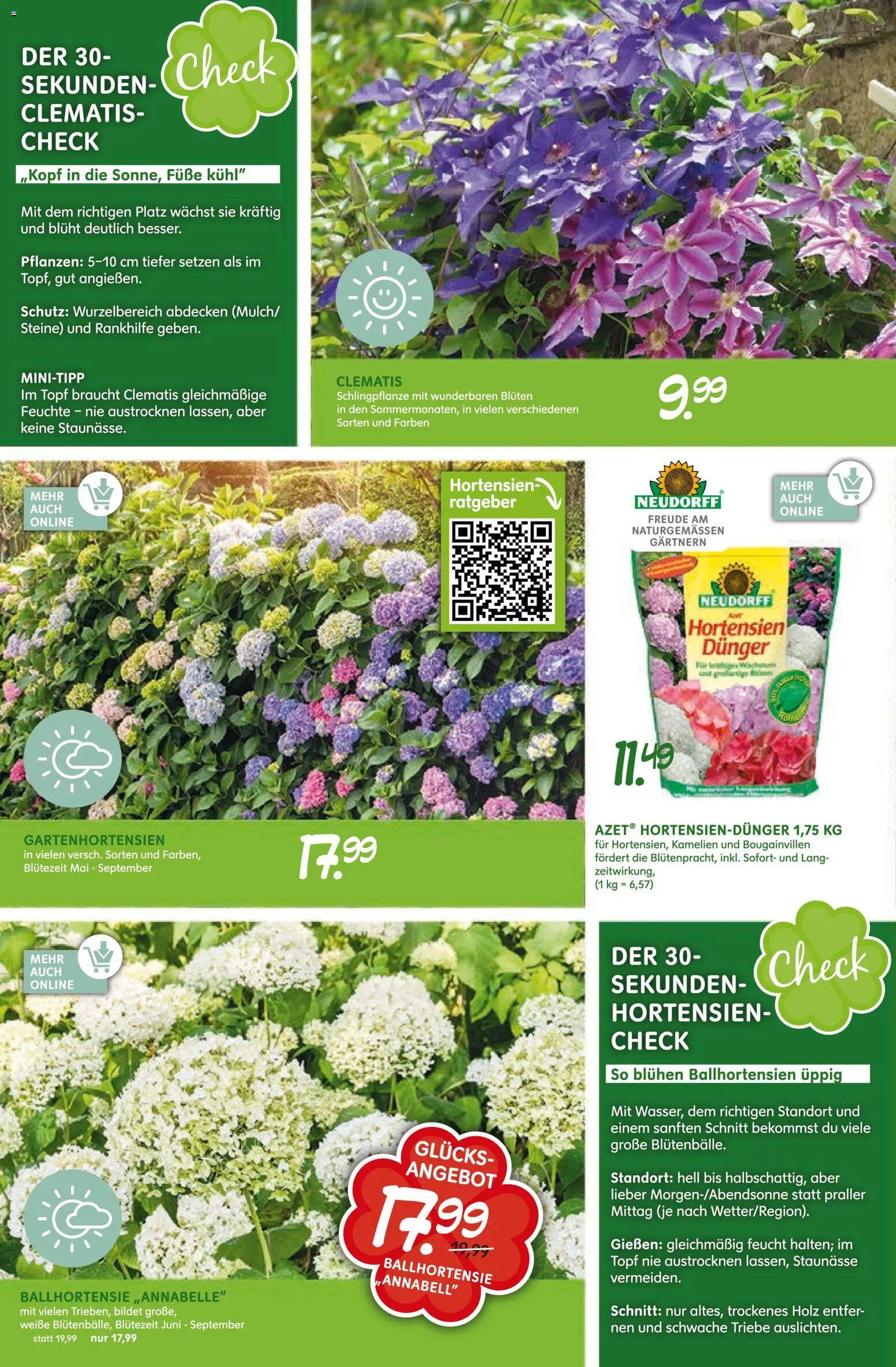 Blumen Risse Prospekt 	 - Seite 8 - gültig ab 16.04.2026
