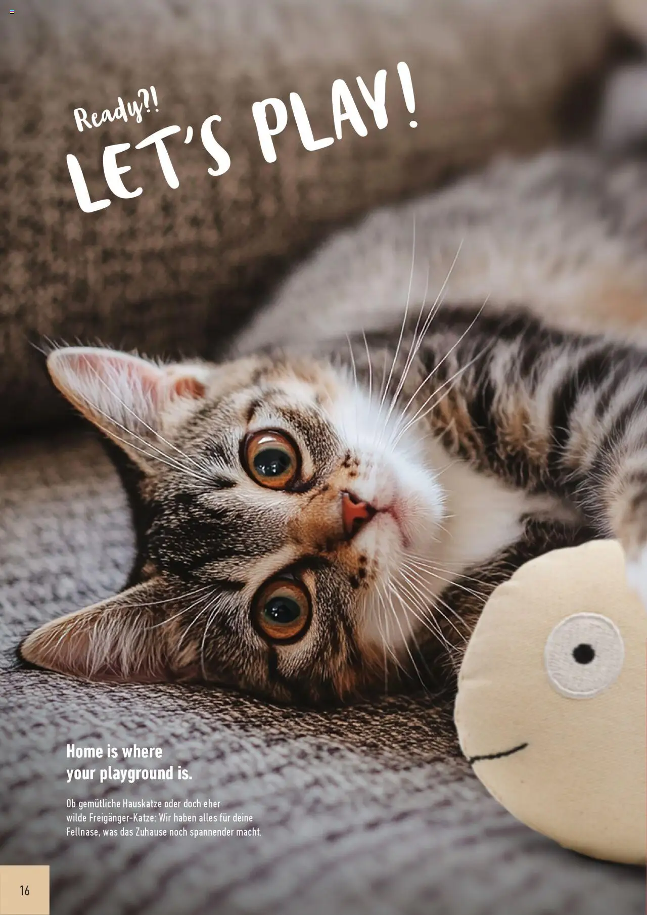 Katalog ProWin Best Friends Juli 2025/Juni 2026 - Seite 16 - gültig ab 01.07.2025