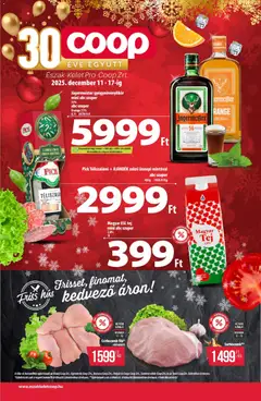 Előnézet COOP - Újság Észak Kelet Pro-Coop Zrt érvényes 2025.12.11.-tól
