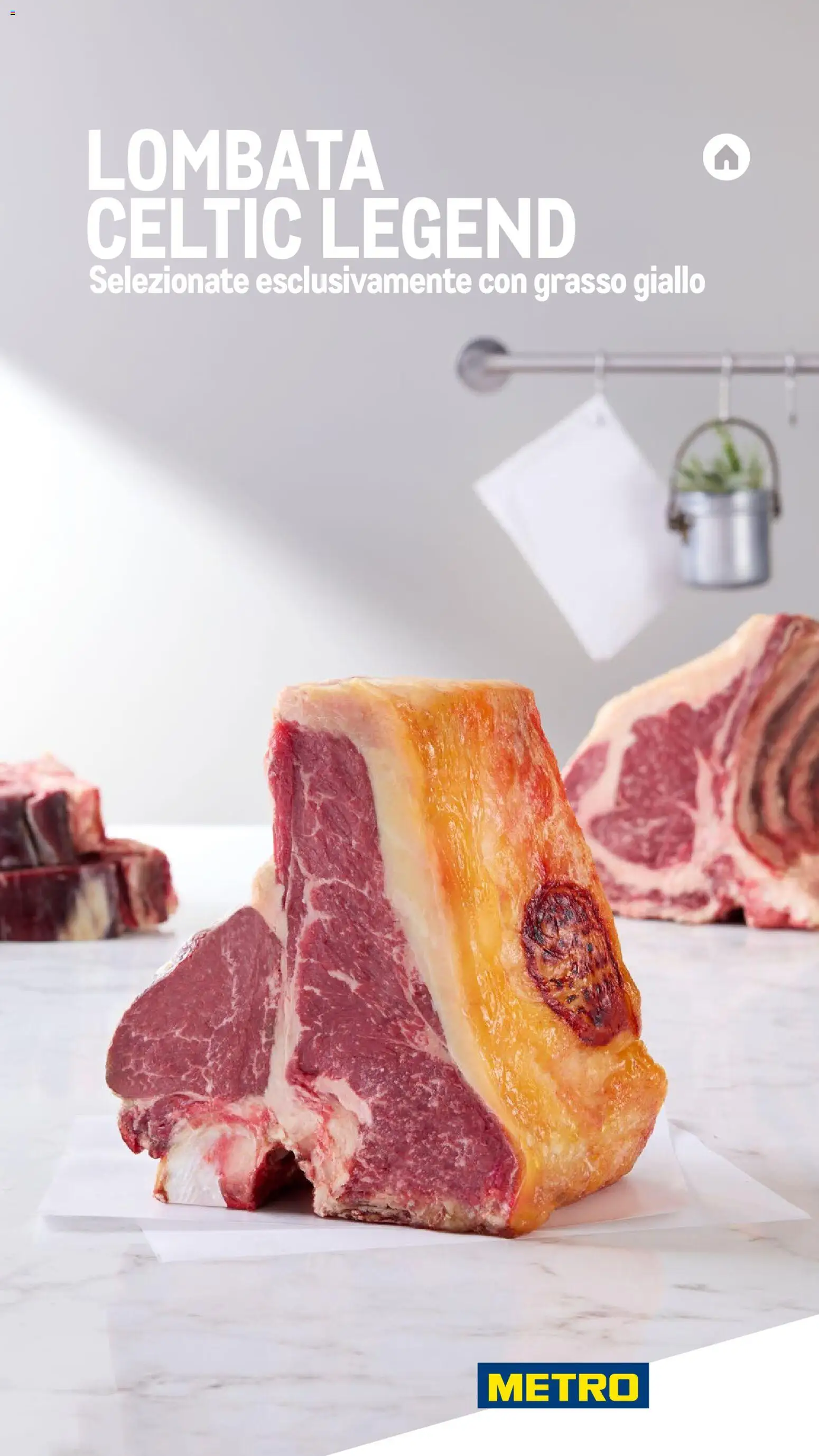 Metro Carne catalogo - pagina 11 - valido dal 26/11/2025