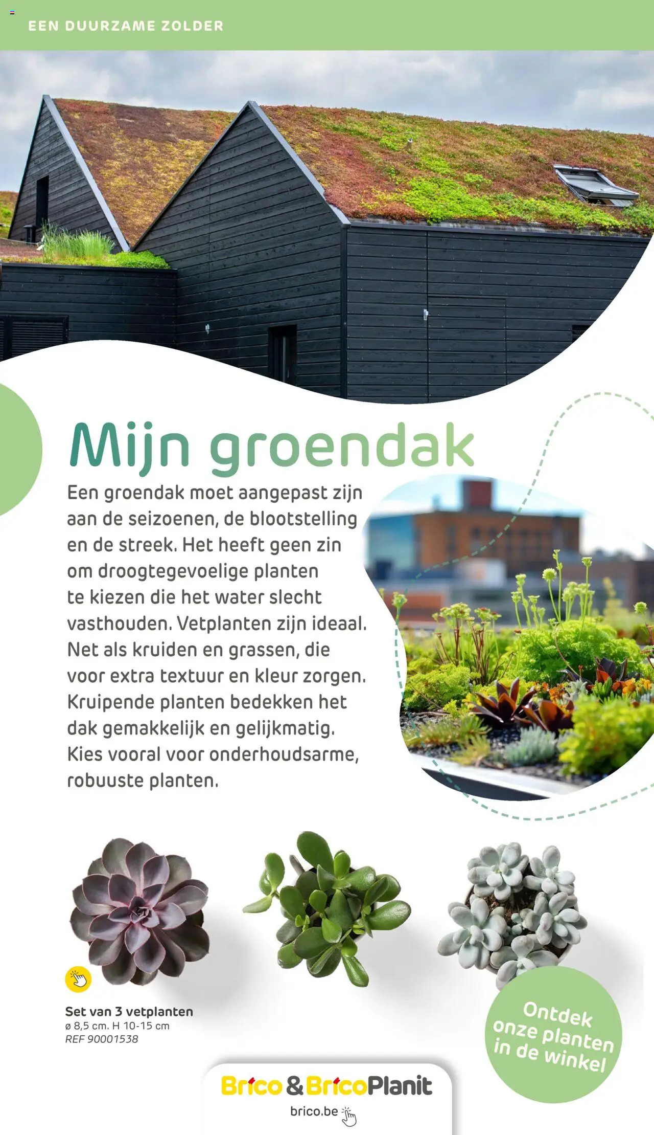 Brico Duurzaamheidsmagazine - pagina 30- geldig vanaf 20/02/2024