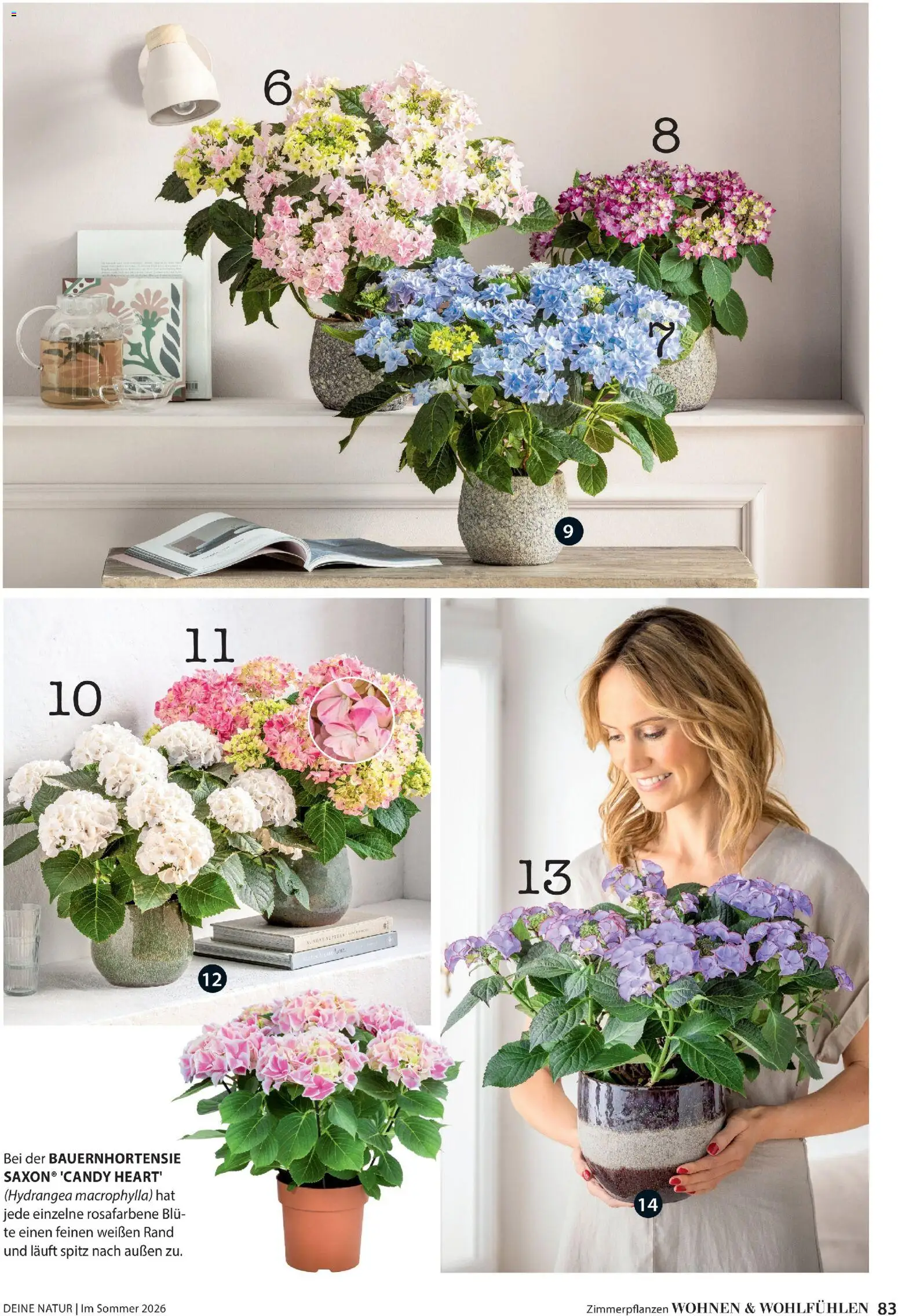 Dehner Prospekt 	 - Seite 83 - gültig ab 17.04.2026