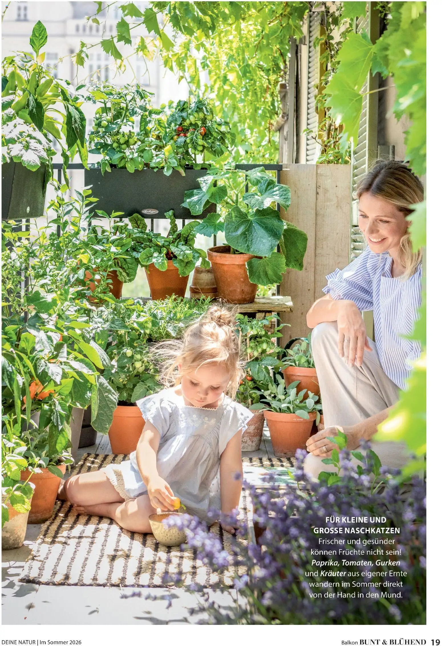 Dehner Prospekt 	 - Seite 19 - gültig ab 17.04.2026