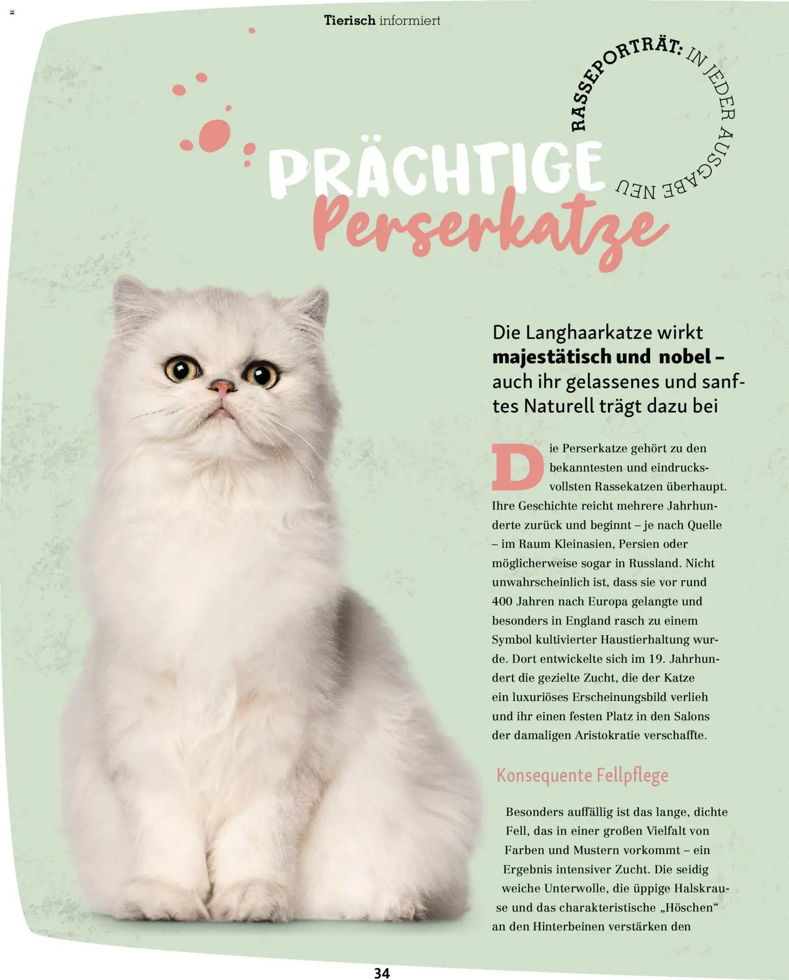 Fressnapf Friends Magazin - Seite 34 - gültig ab 02.03.2026