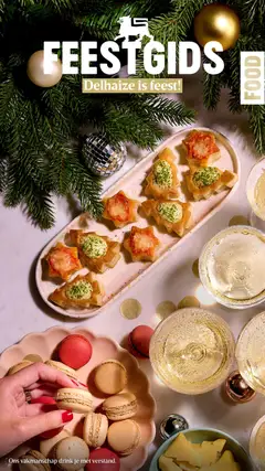 Delhaize Feestgids - Food geldig vanaf 13/11/2025