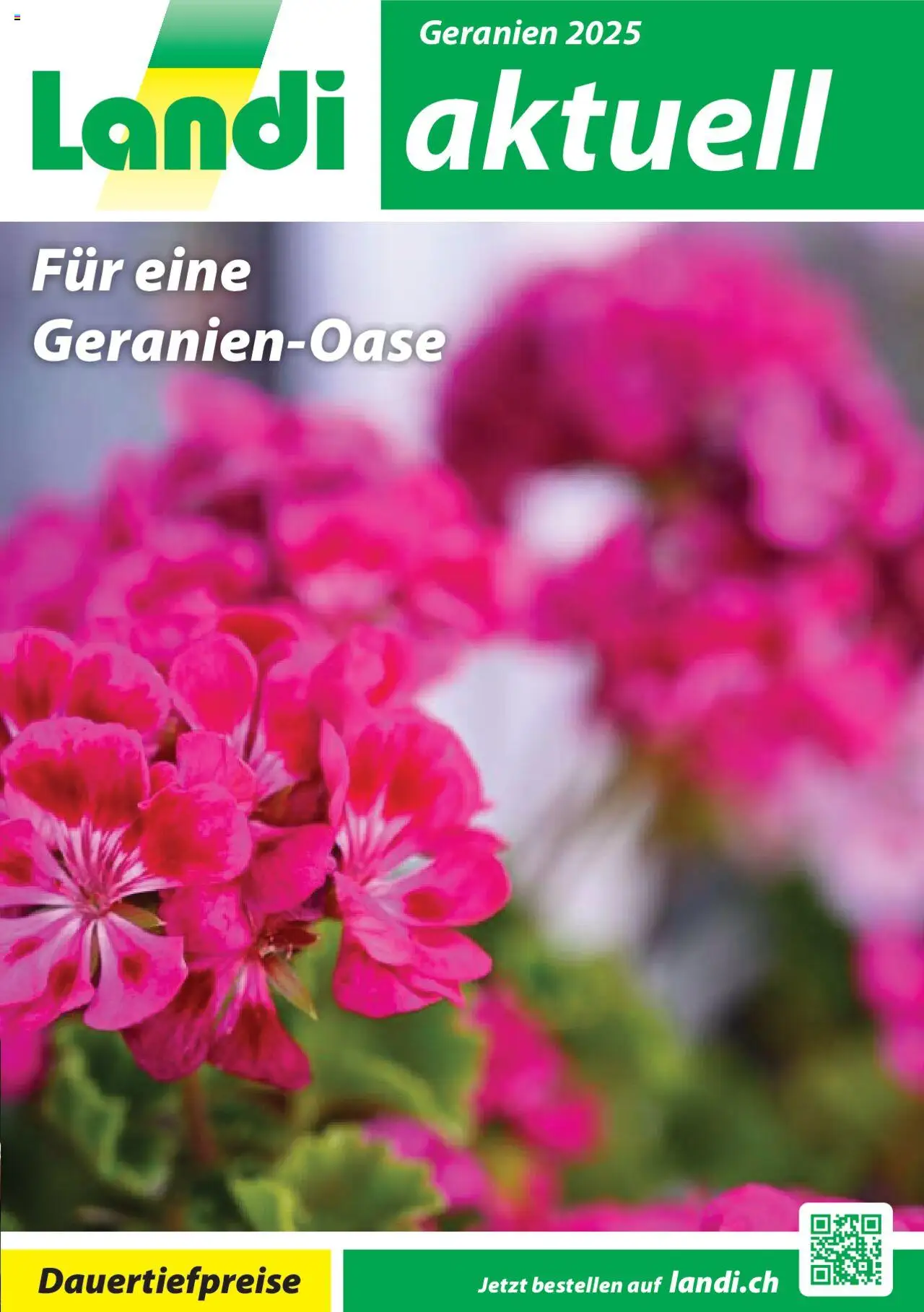 Landi Aktionen Geranien - Seite 1- gültig ab 17.03.2025