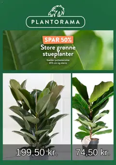 Forhåndsvisning Plantorama - Tilbudsavis gyldig fra 10/08/2025