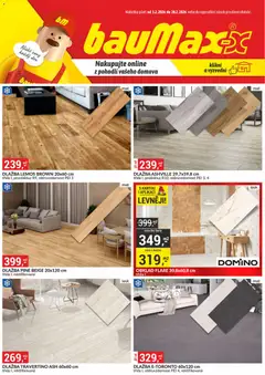 Náhled BAUMAX leták platný od 01.02.2026