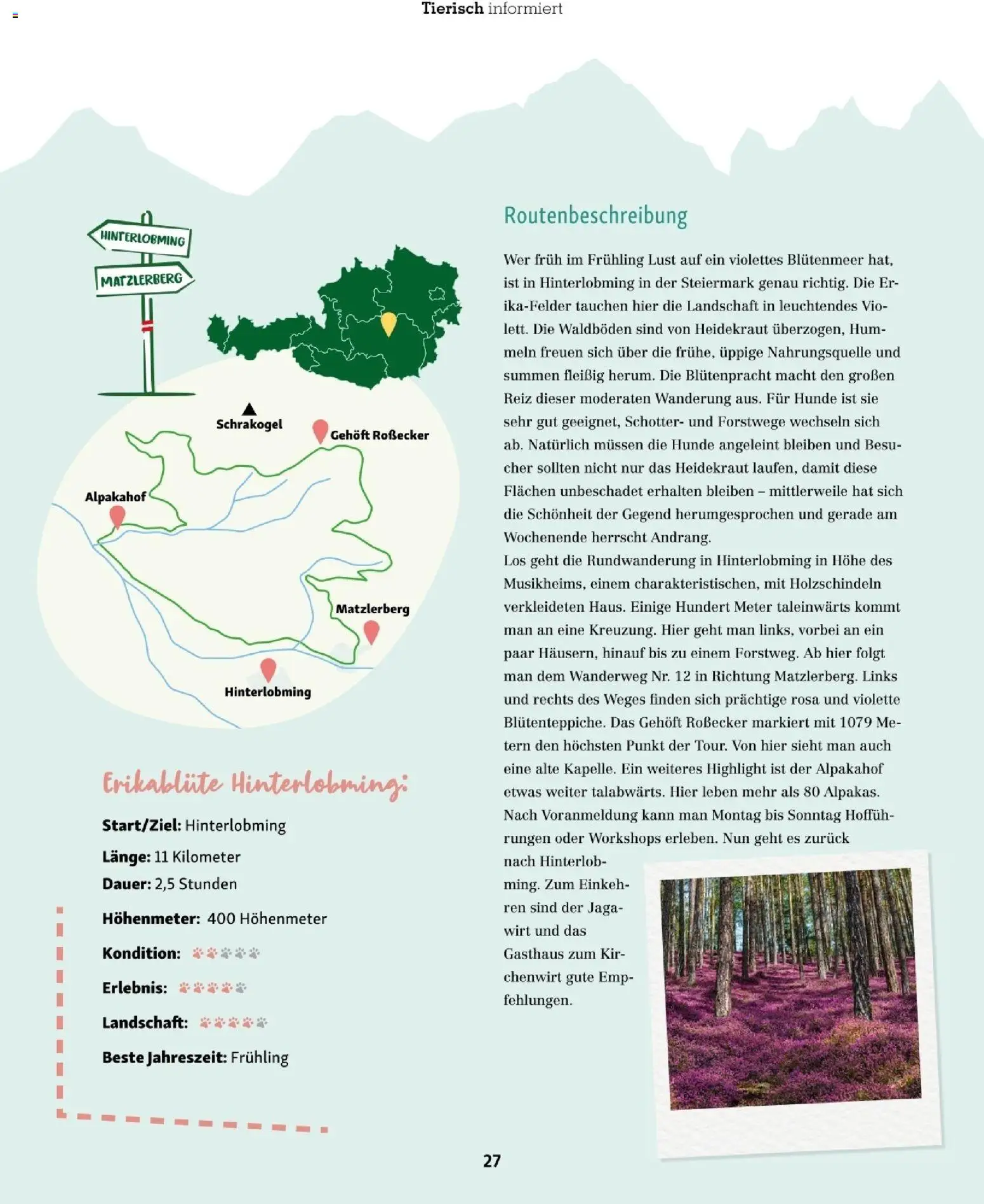 Fressnapf Friends 02/26 - page 27- valid from 01.03.2026