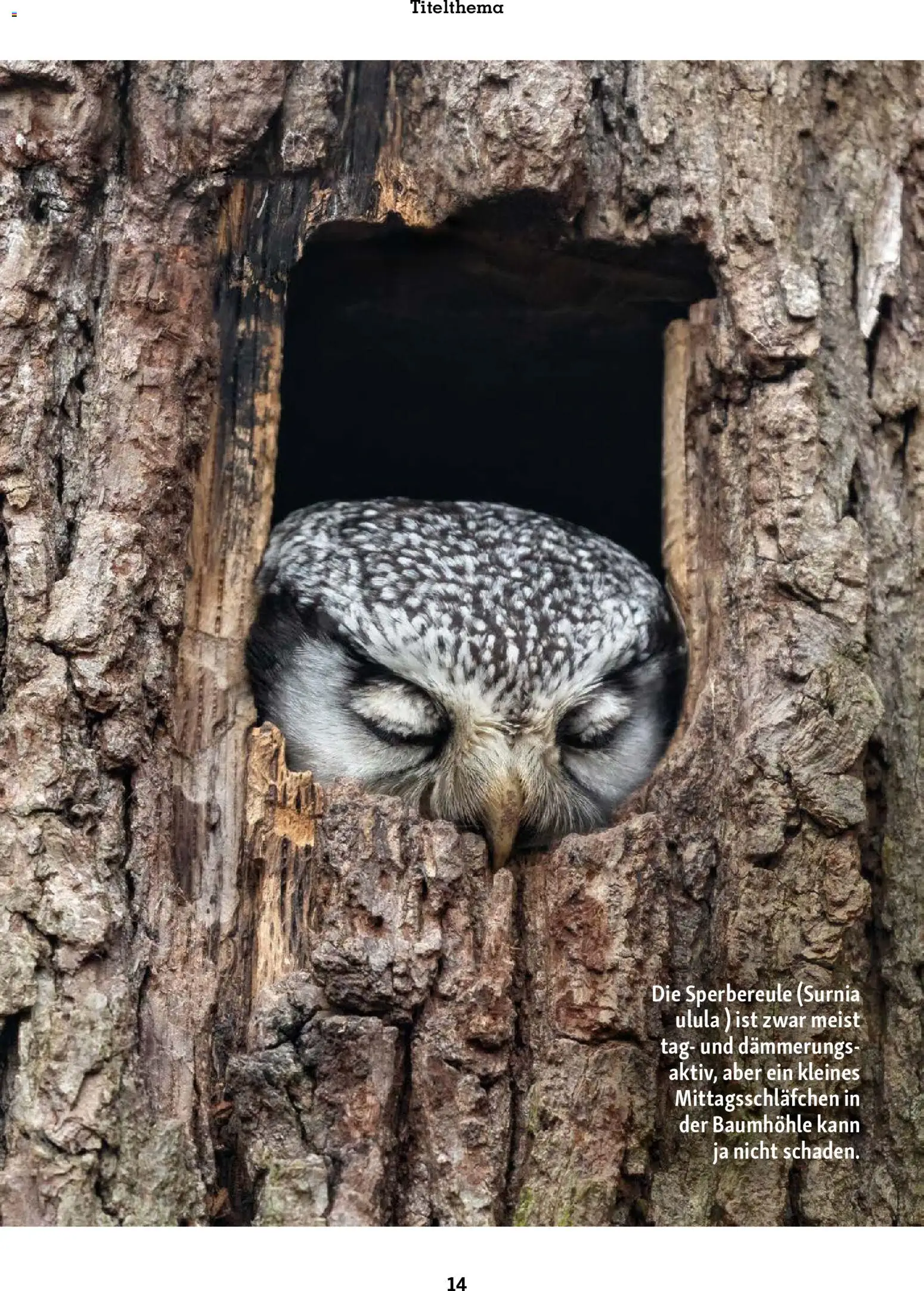 Fressnapf Friends Magazin - Seite 14 - gültig ab 01.11.2025