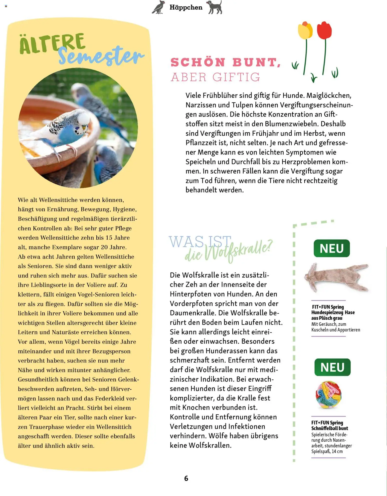 Fressnapf Friends Magazin - Seite 6 - gültig ab 02.03.2026