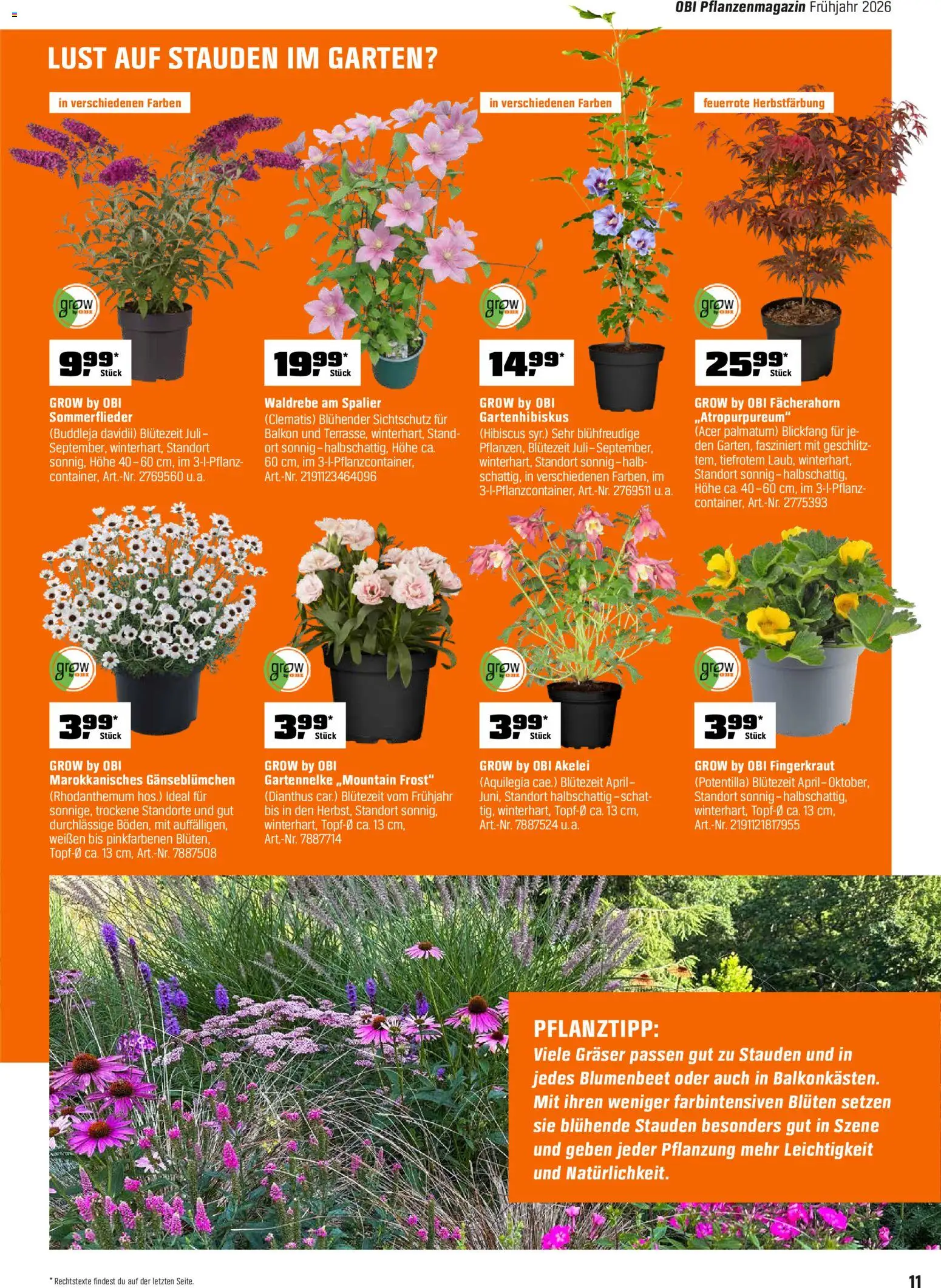 Obi Prospekt 	 - Seite 11 - gültig ab 01.04.2026