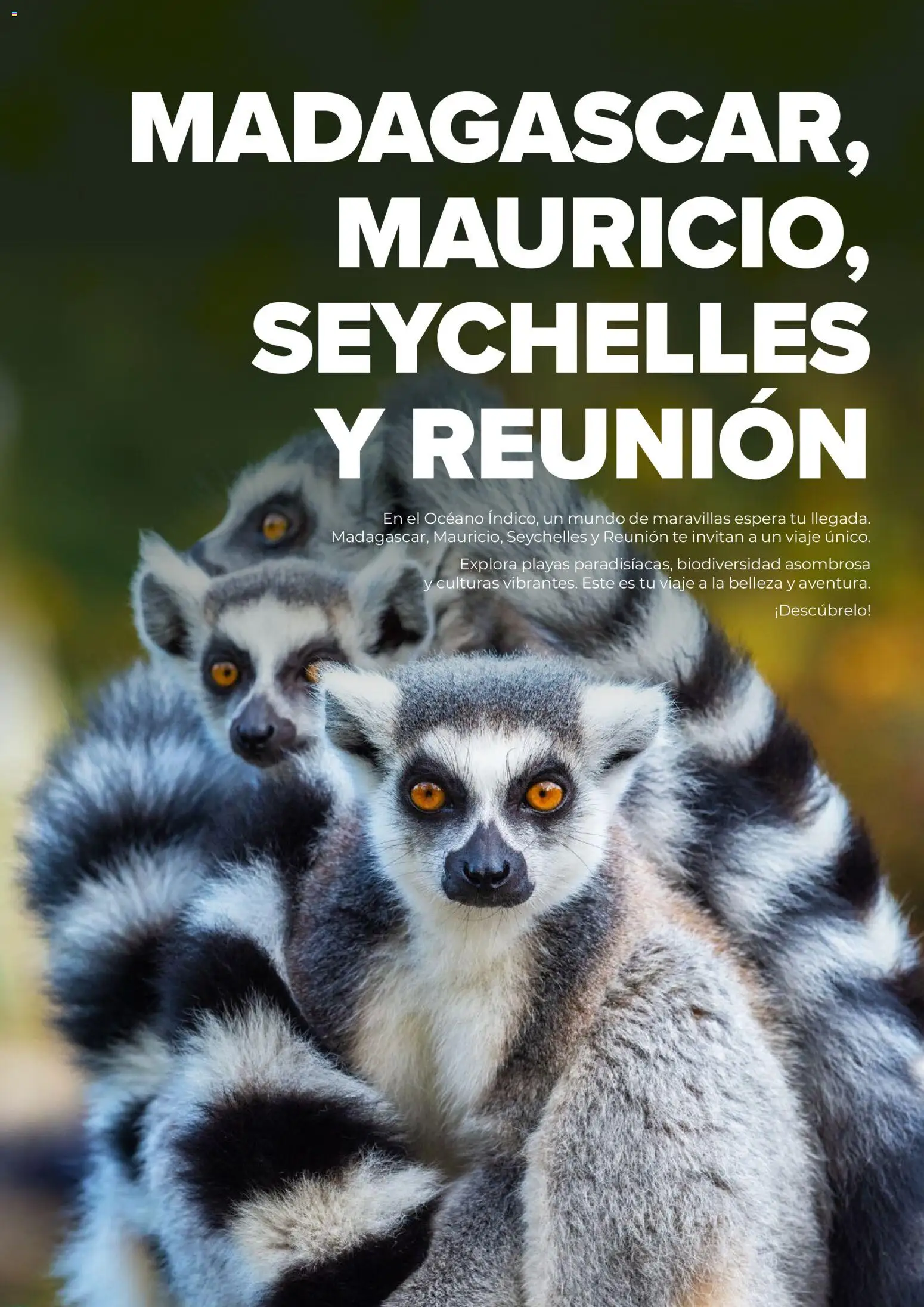 Viajes El Corte Inglés Africa y Oriente Medio - Página de 71 - Válido desde 01/01/2026