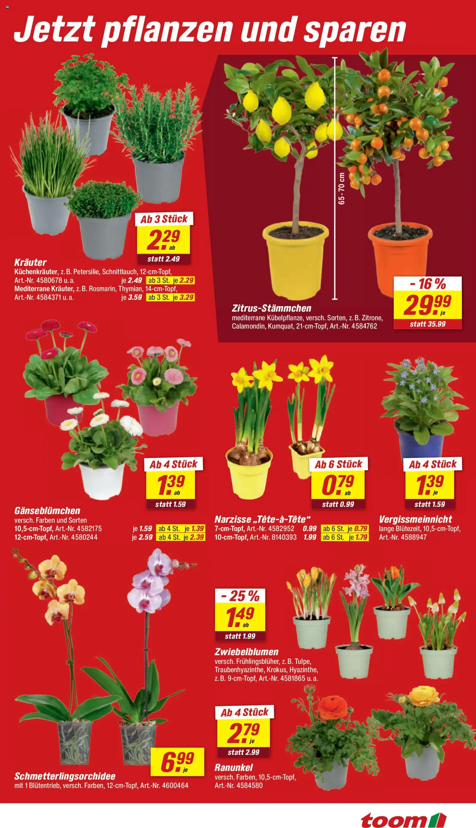 Toom Baumarkt Prospekt 	 - Seite 3 - gültig ab 07.03.2026