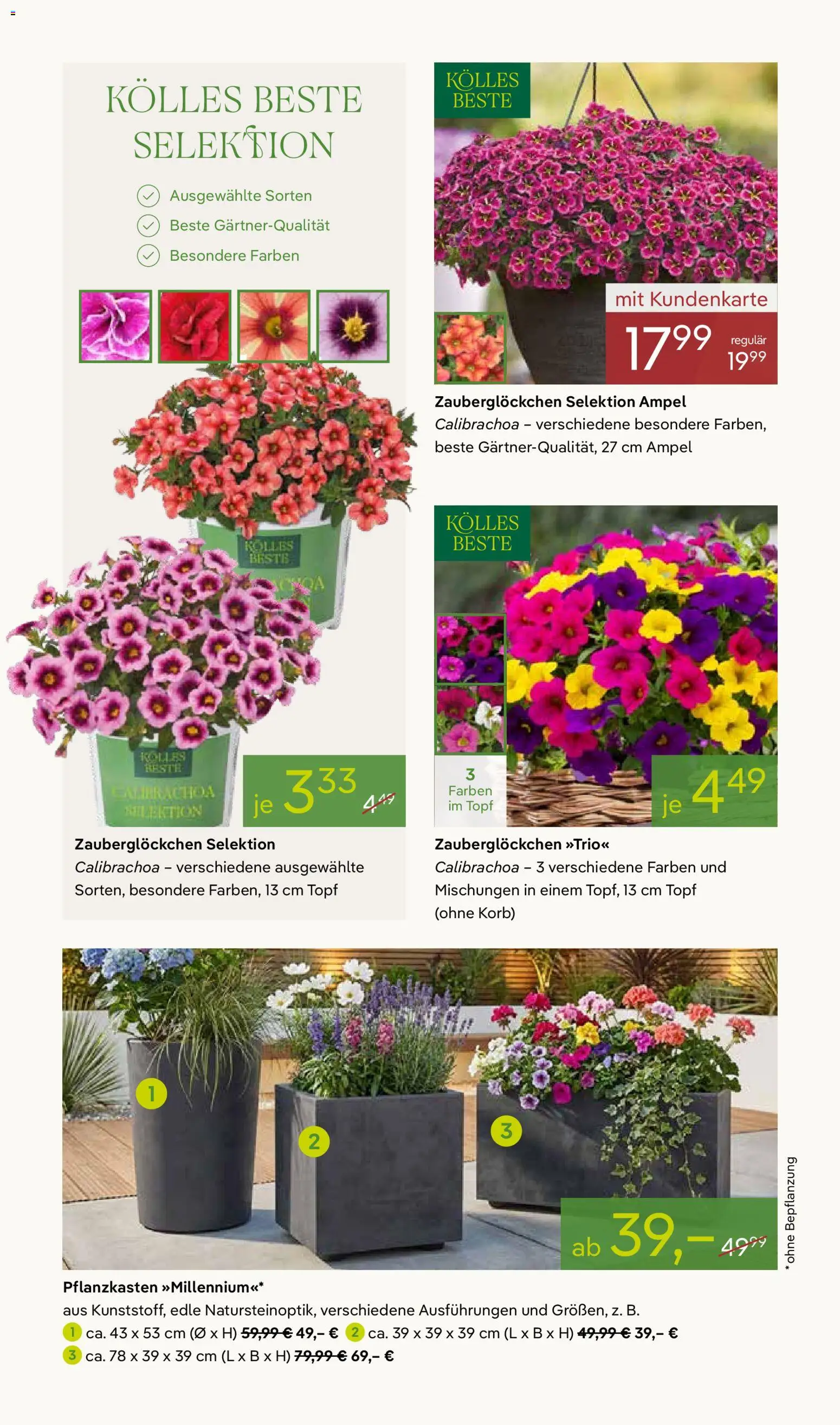 Pflanzen-Kölle Prospekt 	 - Seite 2 - gültig ab 20.04.2026