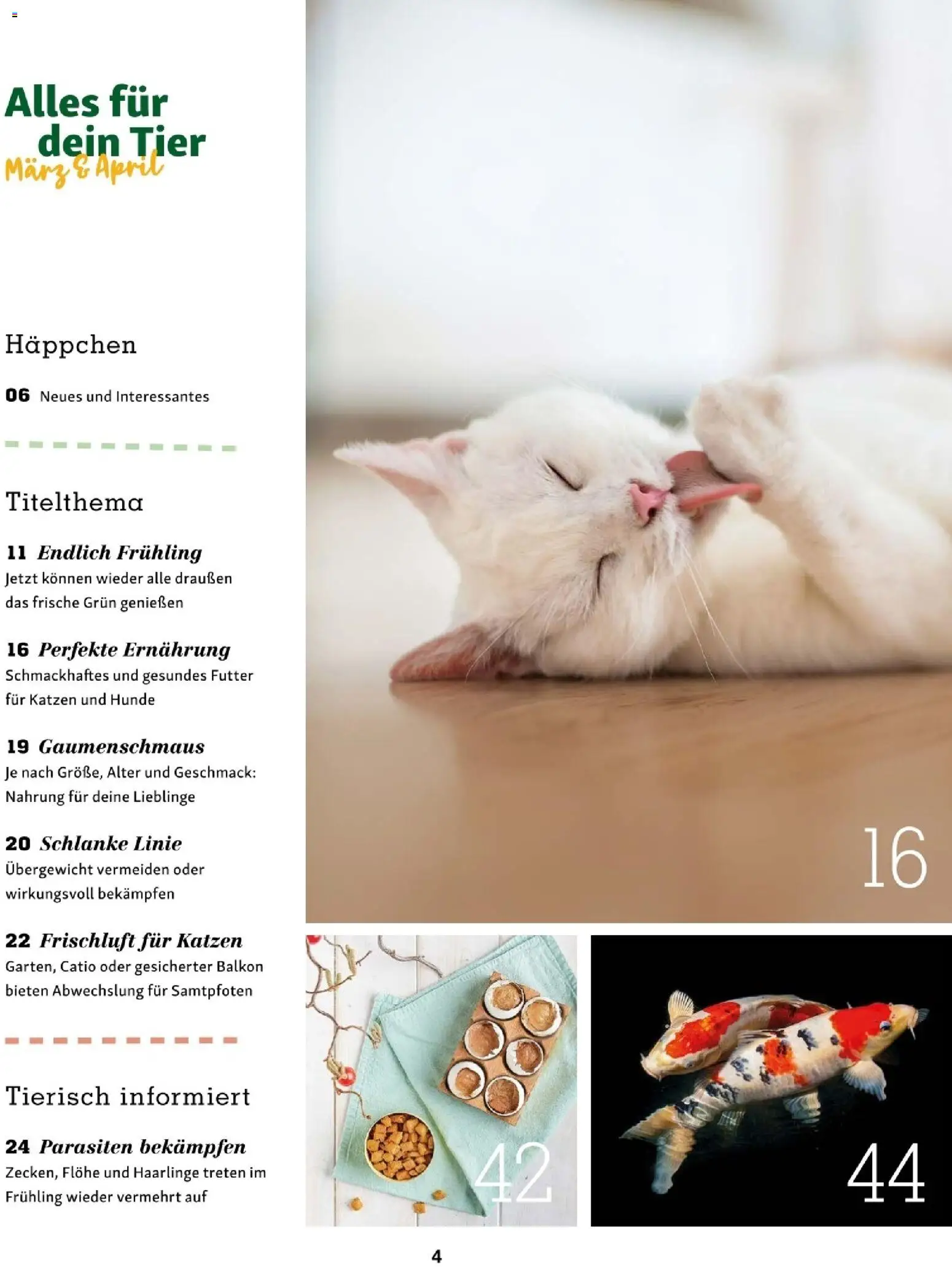 Fressnapf Friends 02/26 - page 4- valid from 01.03.2026