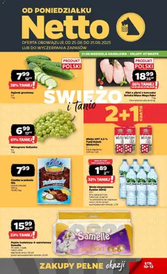 Podgląd Netto gazetka - Spożywcza ważny od 25.08.2025