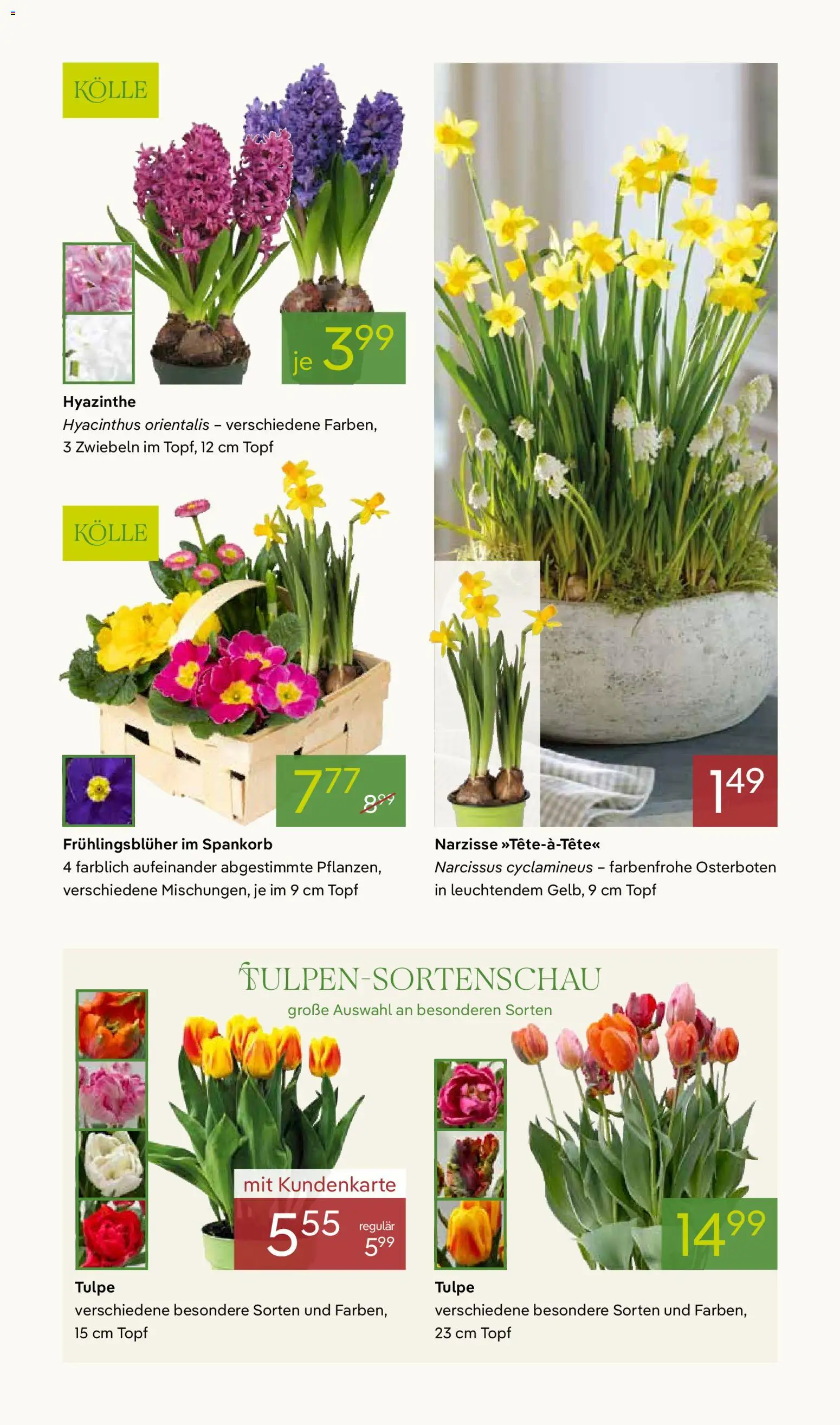 Pflanzen-Kölle Prospekt 	 - Seite 5 - gültig ab 02.03.2026