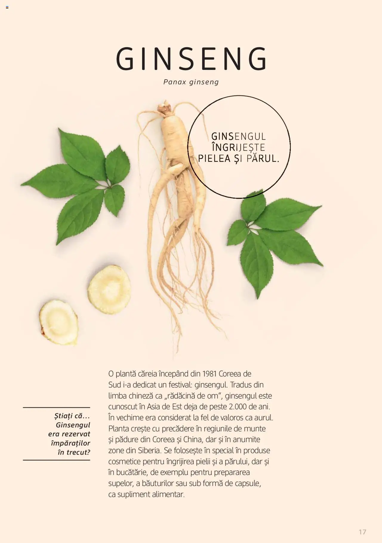 DM drogeriemarkt catalog - Broșura despre plante și ierburi - pagina 17- valabil de la 01.01.2022