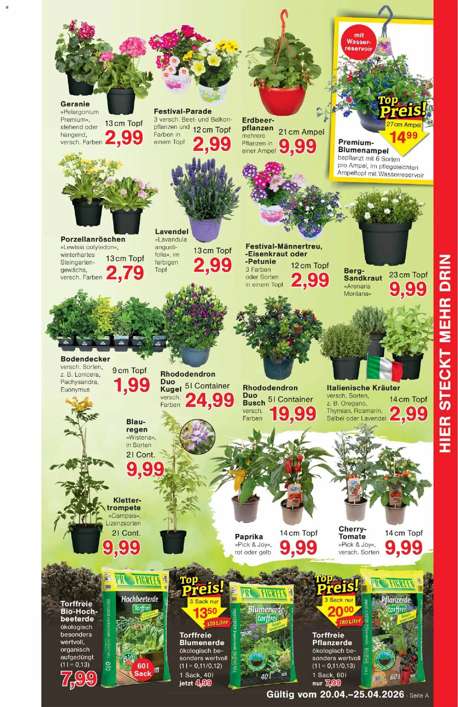 Wiglo Wunderland Prospekt 	 - Seite 7 - gültig ab 20.04.2026